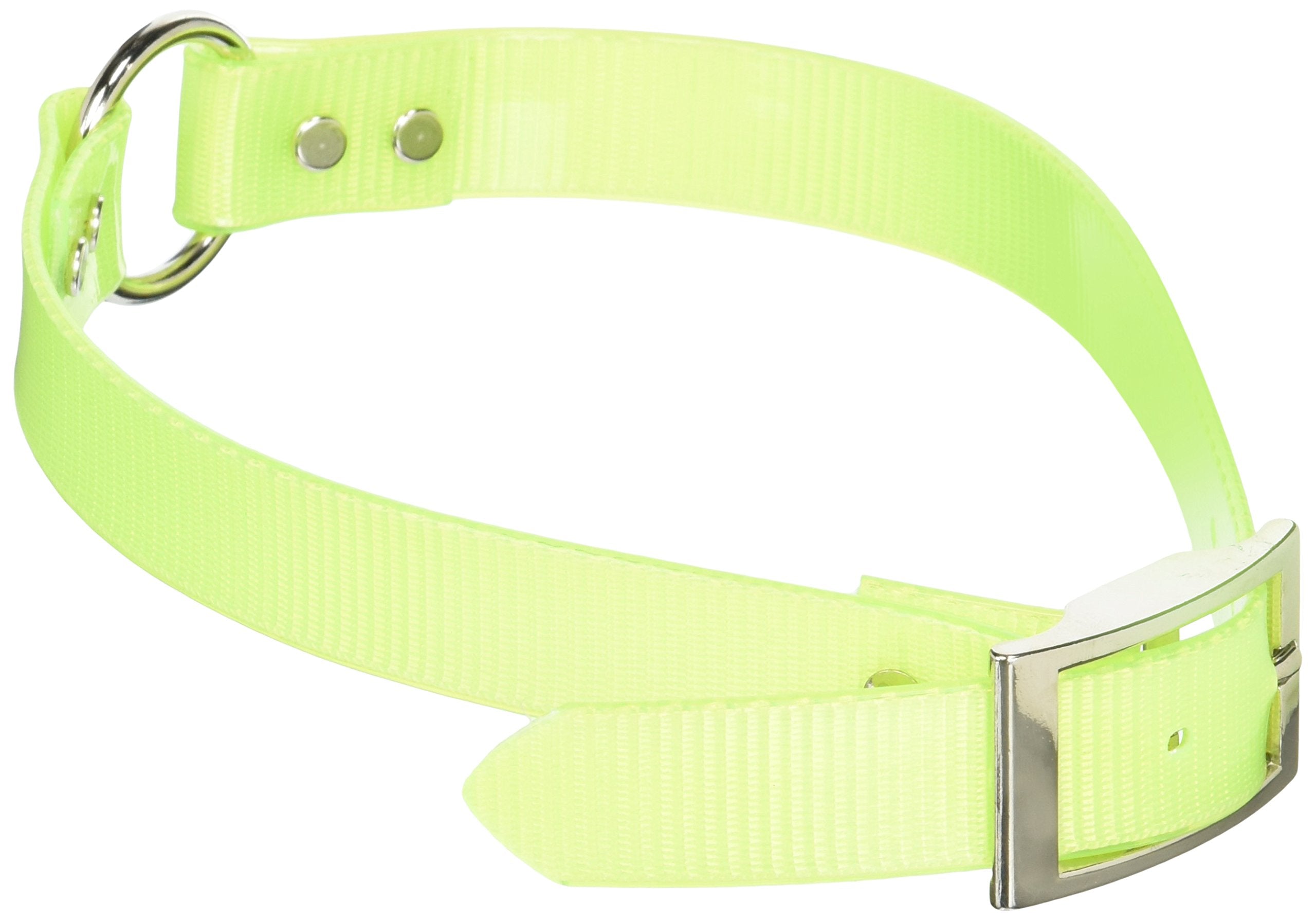 Omnipet Sunglo Ring-In-Center Dog Collar, 1' Wide, Yellow, Fits 20.5'- 24' Neck Sizes, Vibrant Colors & Tough Construction Fo