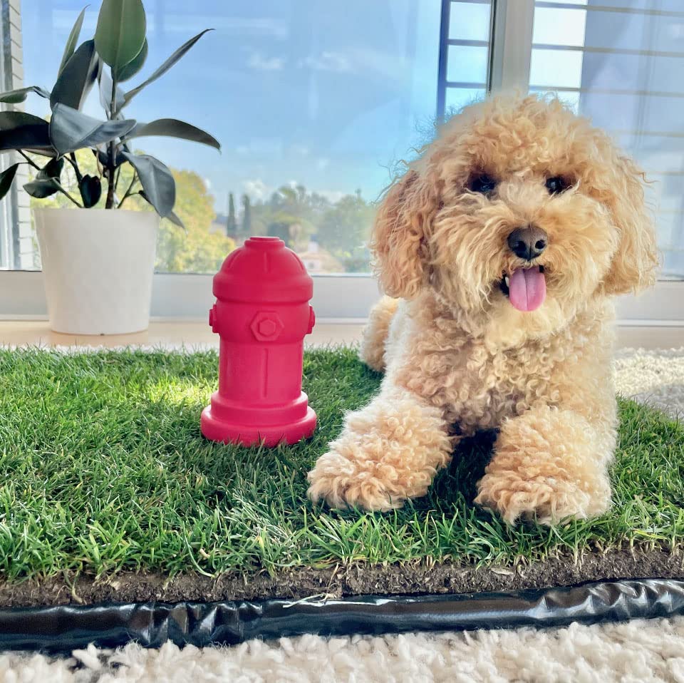 Bark Potty Silicone Potty Training Dog Fire Hydrant - 4"x7", Red, Model 7insiliconehydrant