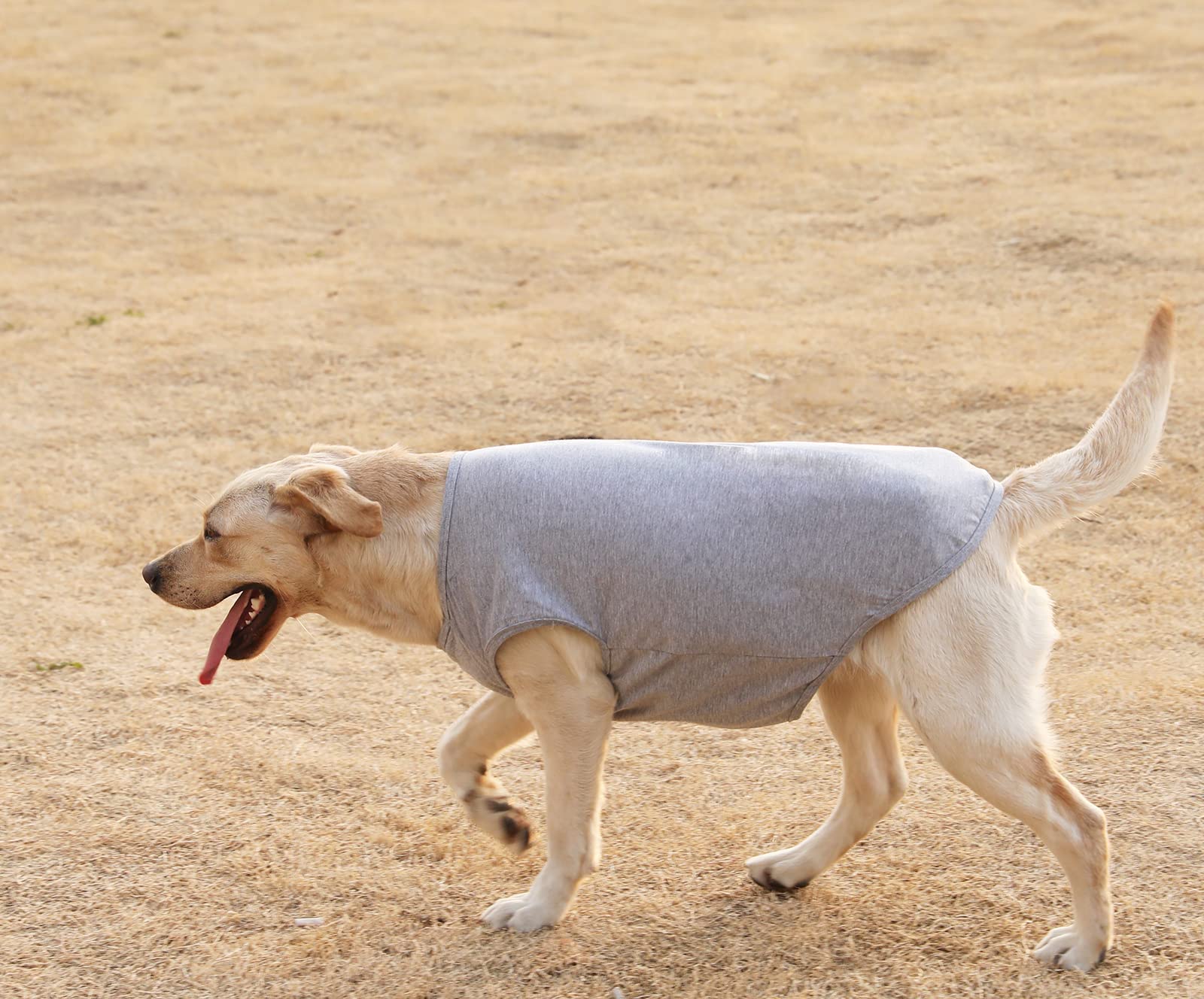 Sychien Dog Blank Cotton Shirts,Plain Dogs Large Clothes,Boy Girl Pet Costumes,Yellow & Purple Xl