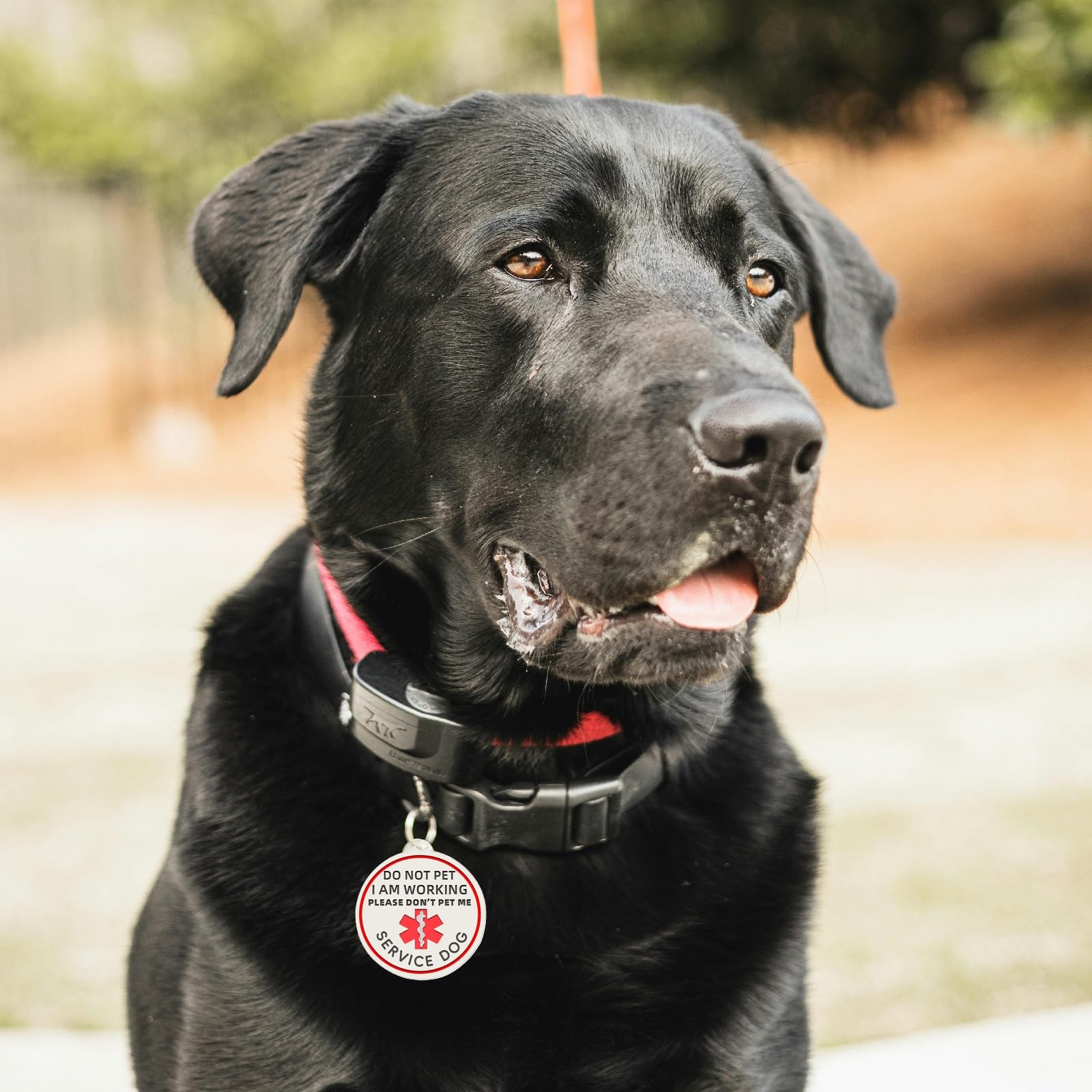 Do Not Pet Tag Easily Attach To Dog Collar, Harness, Vest (Small)