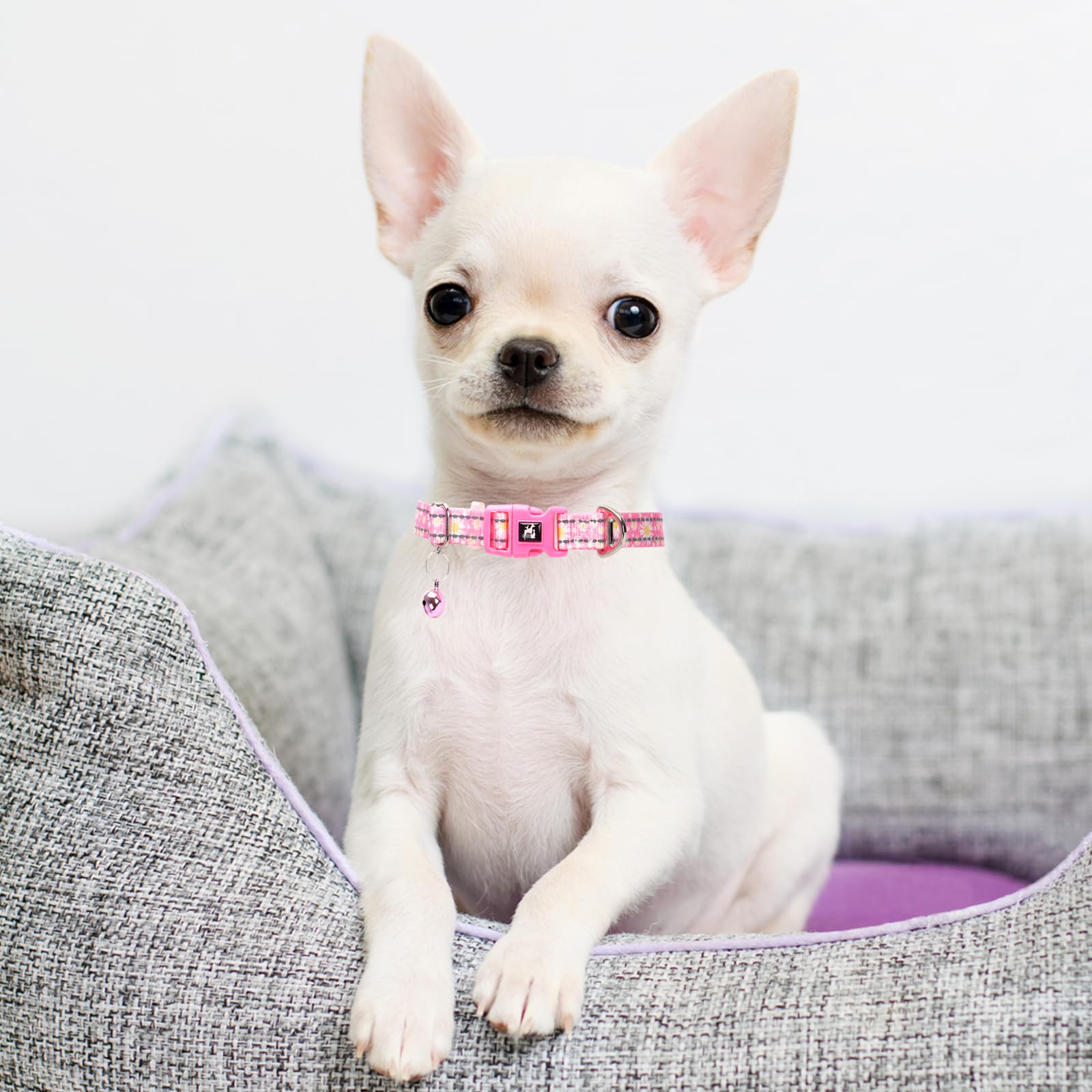 Small Dog Collar With Bell - Reflective Nylon Dog Collar For Small Breeds, Adjustable Xxs/Xs Tiny Chihuahua Pomeranian Yorkie Co