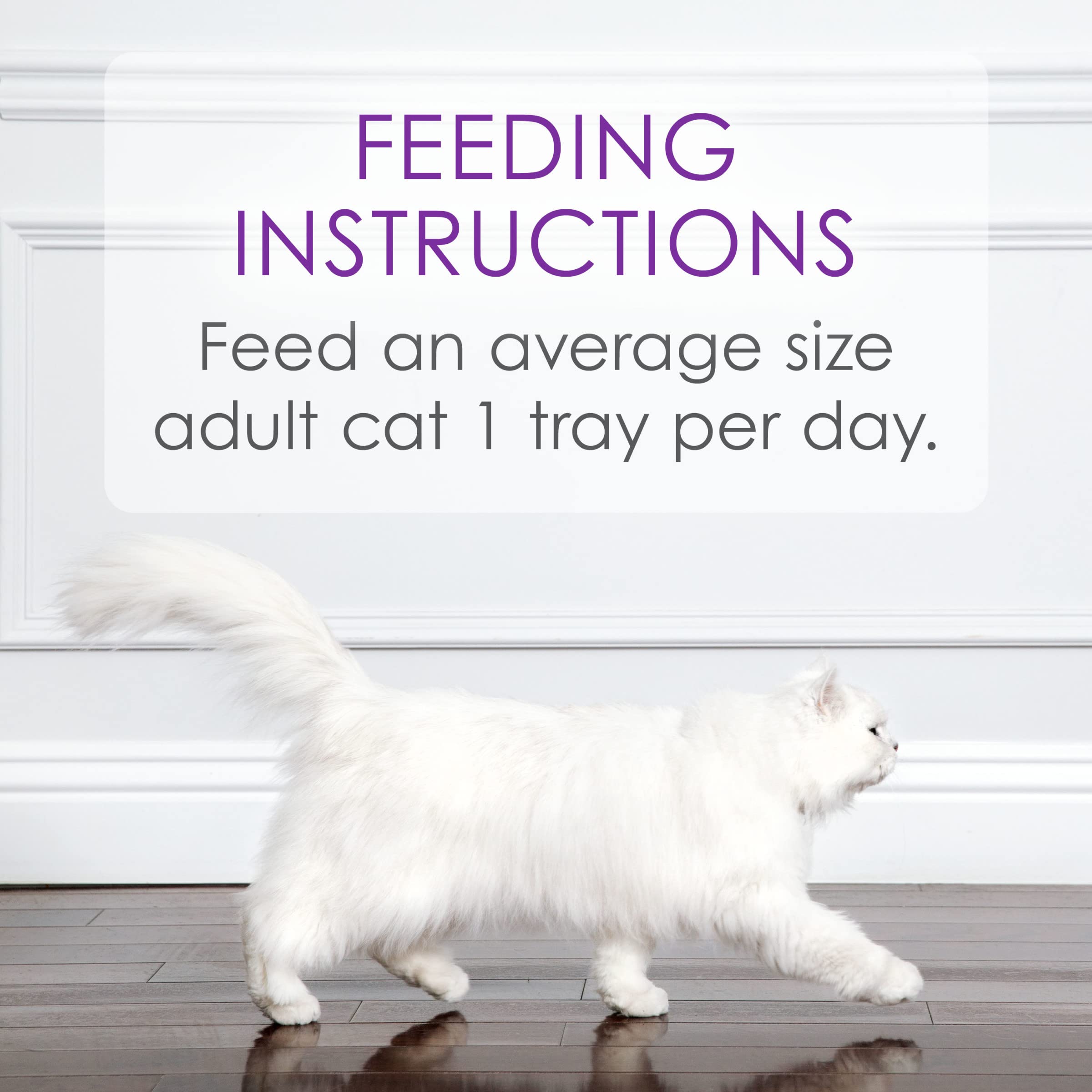 Purina Fancy Feast Appetizers Lickable Grain Free Cat Food Topper White Meat Chicken and Shredded Beef Appetizer - (Pack of 10)