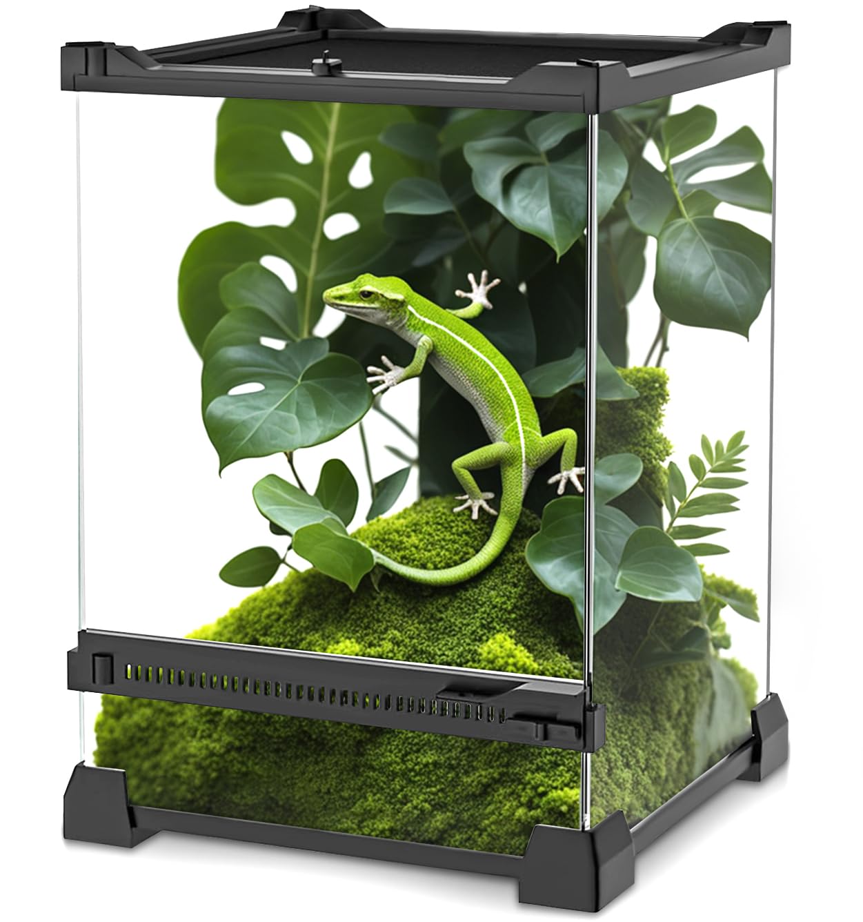 Neptonion Mini Reptile Glass Terrarium 8''X8''X12'' Durable Reptile Habitat Tank With Heat Resistant Aluminum Alloy Frame, Singl