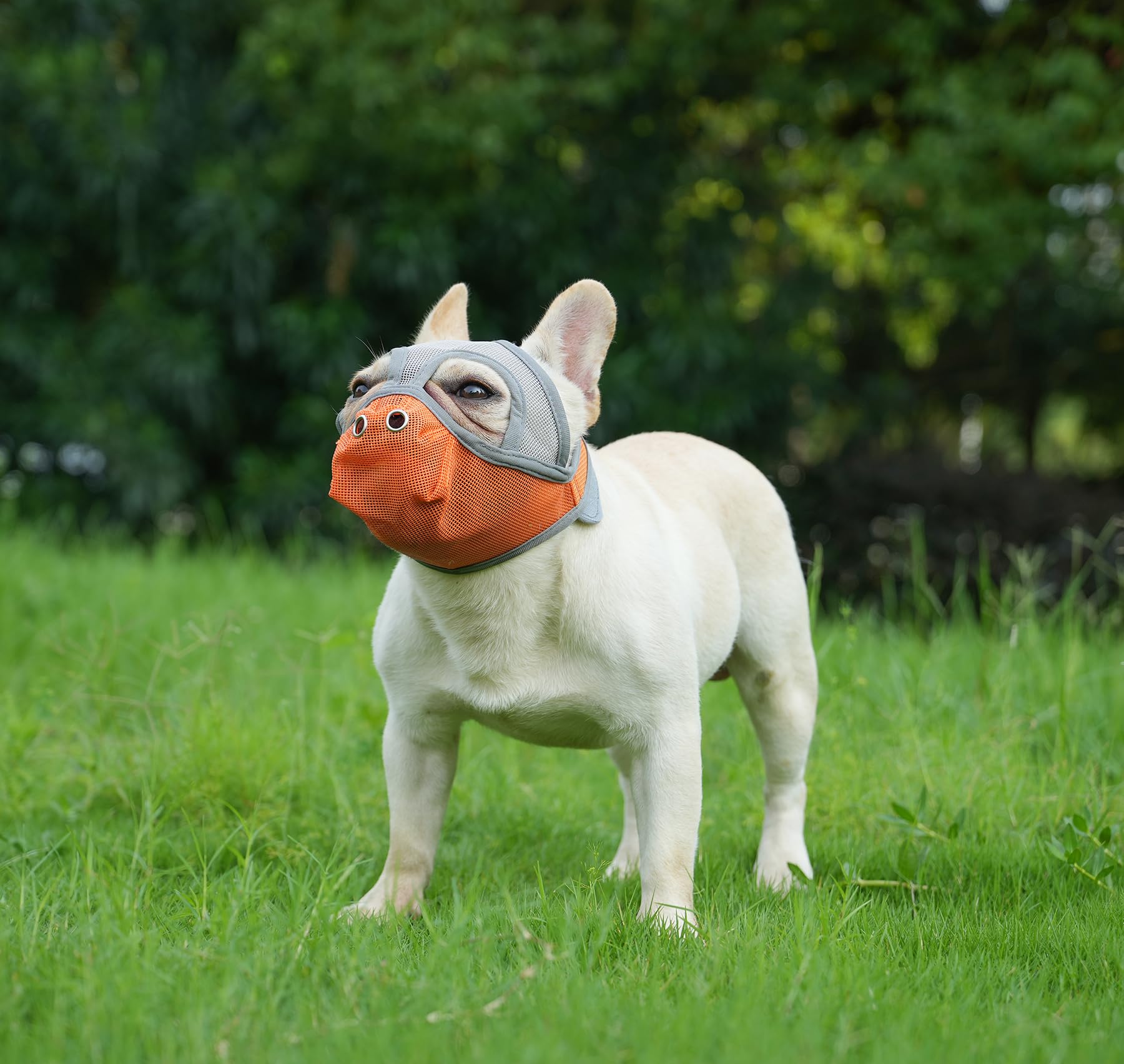 Cilkus Short Snout Dog Muzzles - Bulldog Muzzle Adjustable Breathable Mesh Can Stick Out Tongue And Drink Water Anti-Biting And