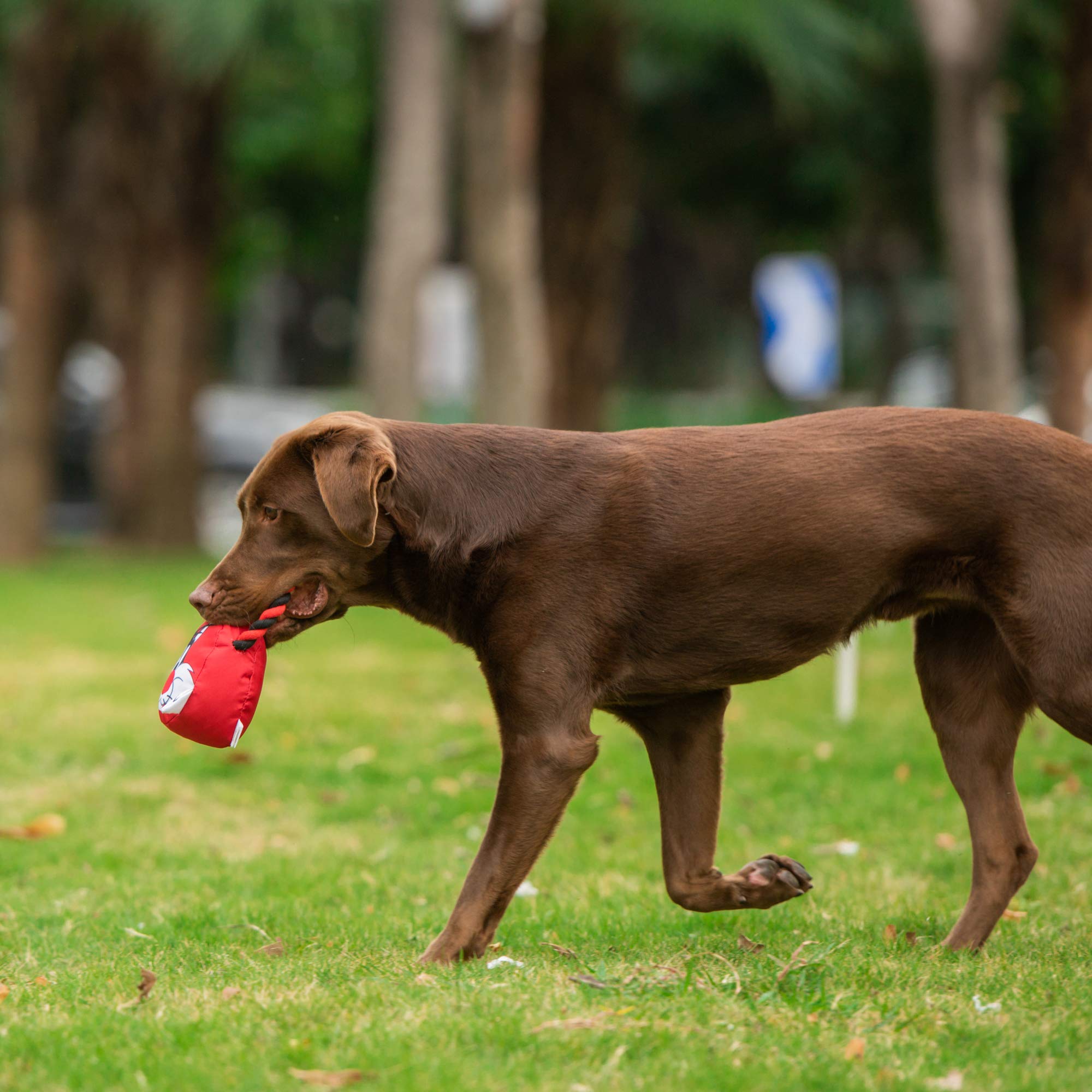 Looney Tunes For Pets Sylvester Rope Head Stuffed Dog Toy For All Dogs | Red, White, And Black Character Plush Fabric Toy For Dogs | Cute Rope Canvas Dog Toy
