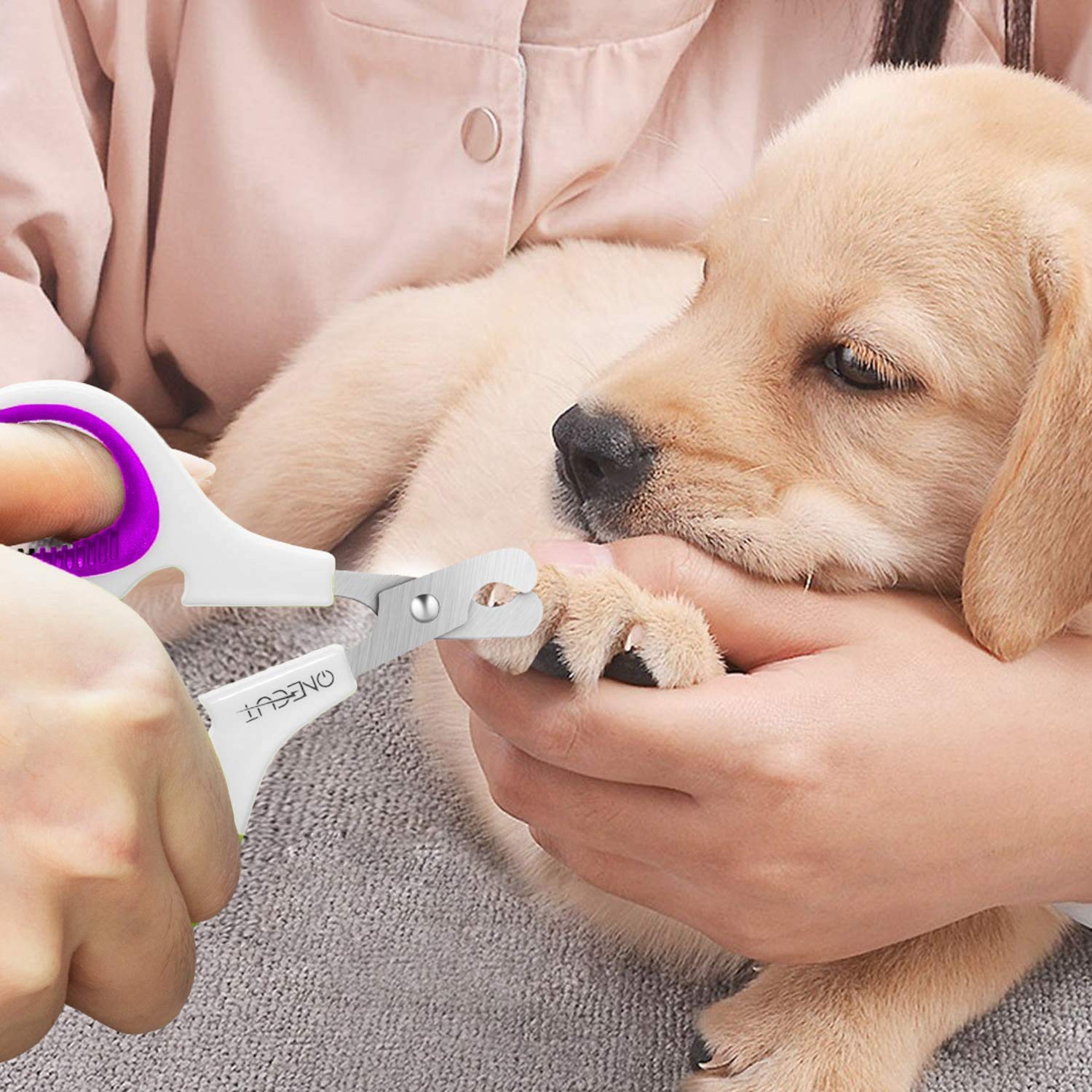 Onecut Pet Nail Clippers, Update Version Cat & Kitten Claw Nail Clippers For Trimming, Professional Pet Nail Clippers Best For A Cat, Puppy,Rabbit, Kitten & Small Dog,Sharp & Safe (Purple)