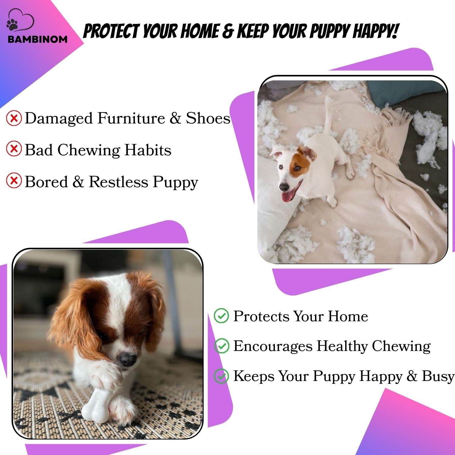 Bambinom Durable Dog Bone Chew Toy For Small Breeds, Squeaky, Puppy Chew Bone, Supports Dental Health & Teething Relief, 4.5   ,