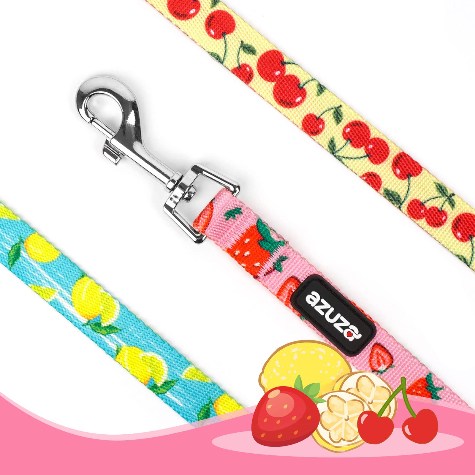 Azuza 3 Pack Fruit Design Nylon Dog Leashes Strong & Durable Basic Dog Leash With Easy To Use Collar Hook For Large Dogs, L (4Ft