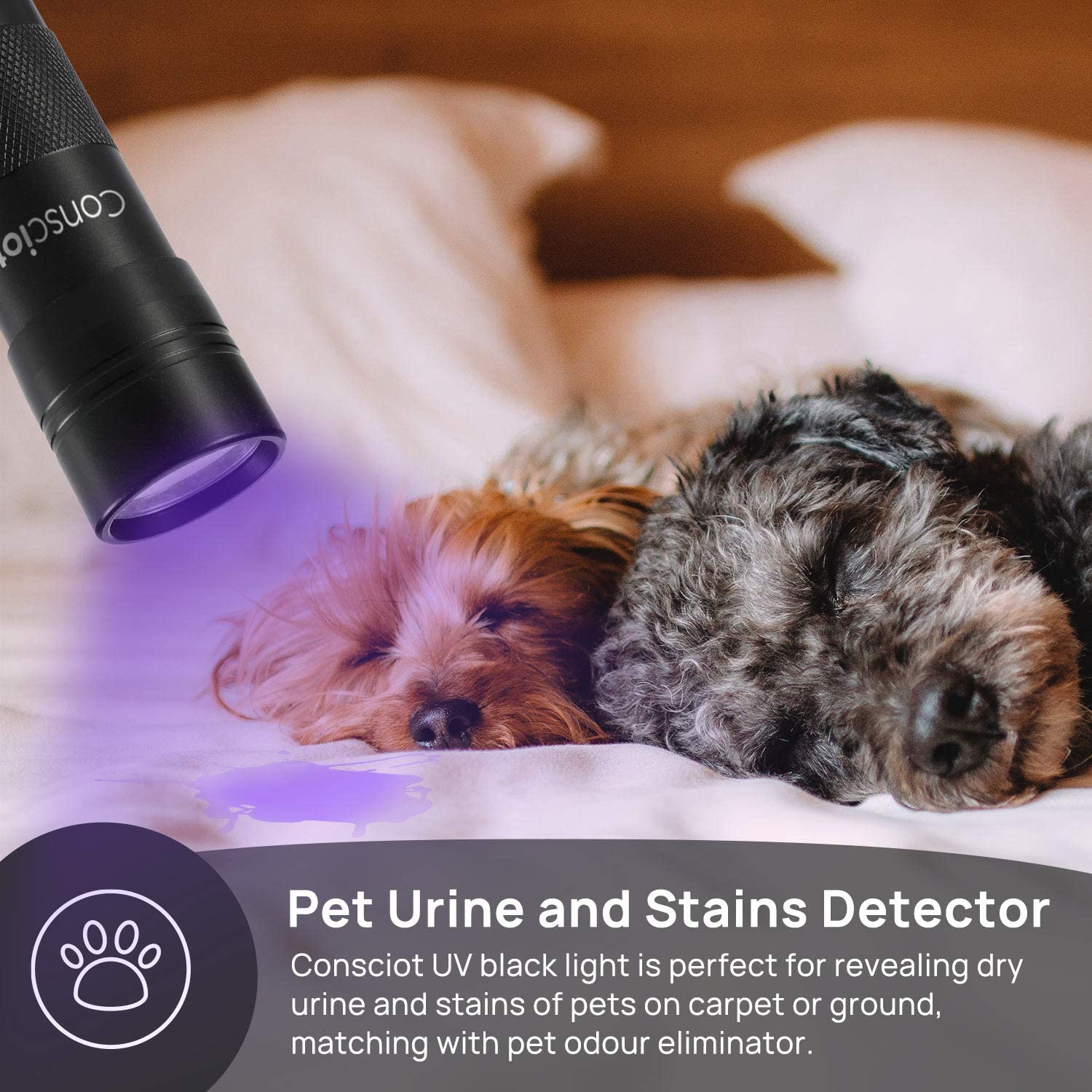 Uv Flashlight Black Light, Consciot 12 Led 395Nm Ultraviolet Blacklight, Portable Mini Torch Light Pet Urine Detector For Dog/Cat Urine, Dry Stains, Bed Bug, Matching With Pet Odor Eliminator