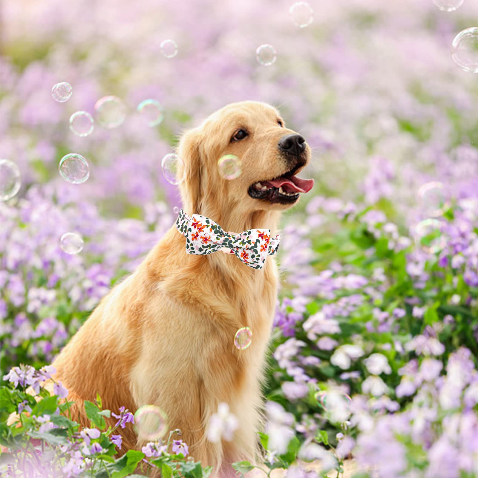 Elegant little tail Dog Collar, Dog Collar with Bowtie, Spring Flower Cute Pink Pet Collar Bow Dog Collars Gift Adjustable Dog C