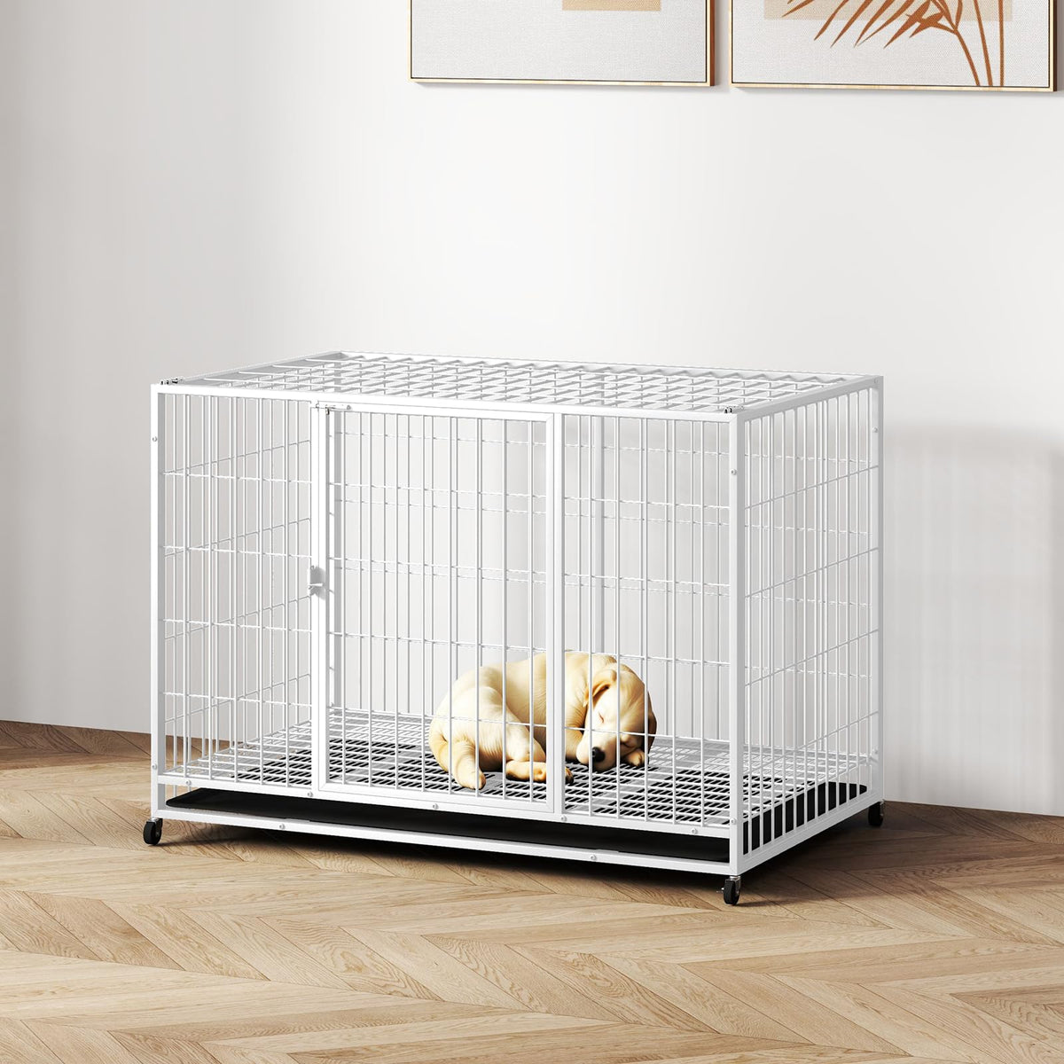 Hiwokk 42/38 Inch Dog Crates For Meidum Small Dogs Folding Metal Wire Cages Dog Kennels Pet Cage With Double-Door, Removable Tra