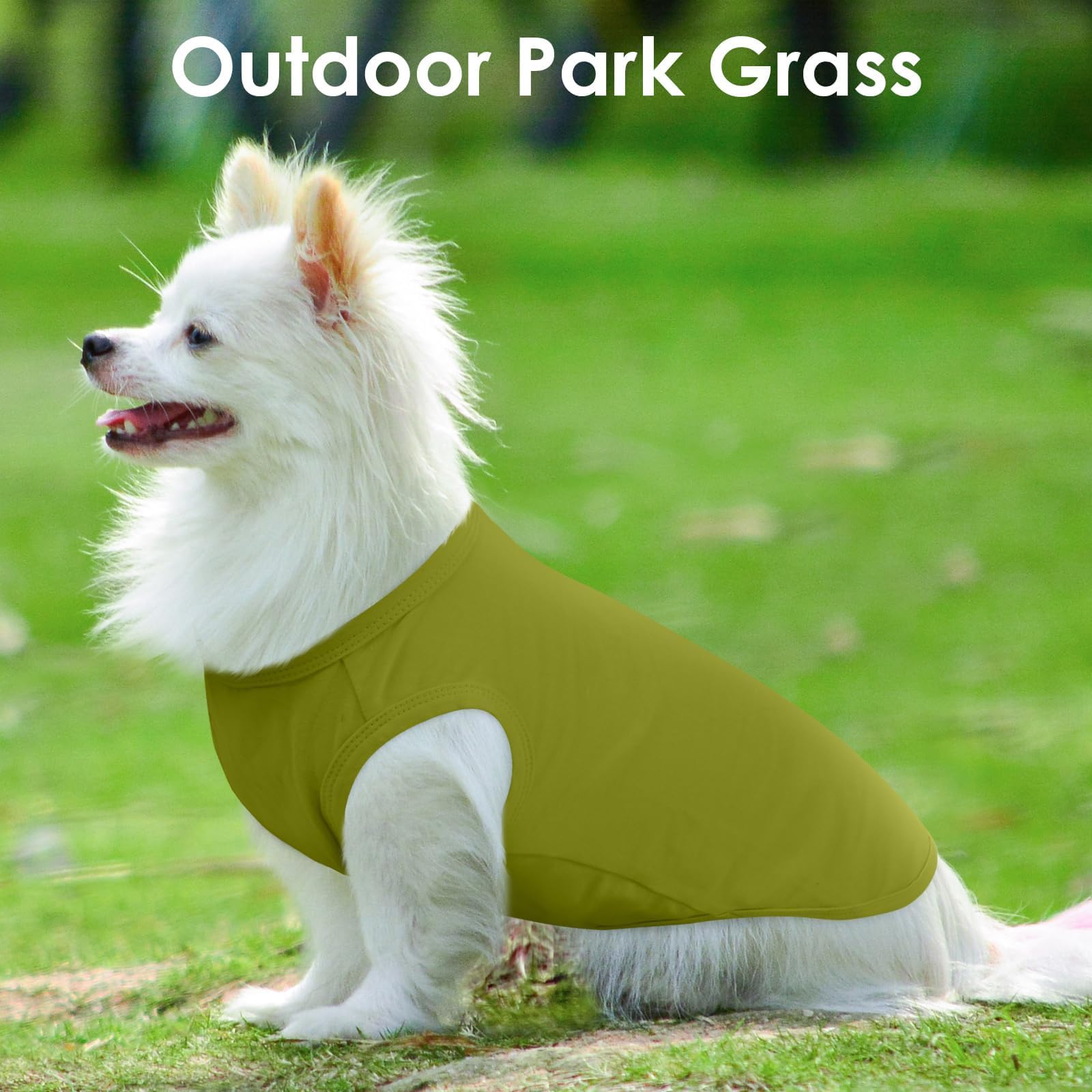 3 Pack Green Striped T Shirts For Small Dogs,Lightweight Sleeveless Dog Tee For Spring&Summer Keep Body Heat After Running,Breat