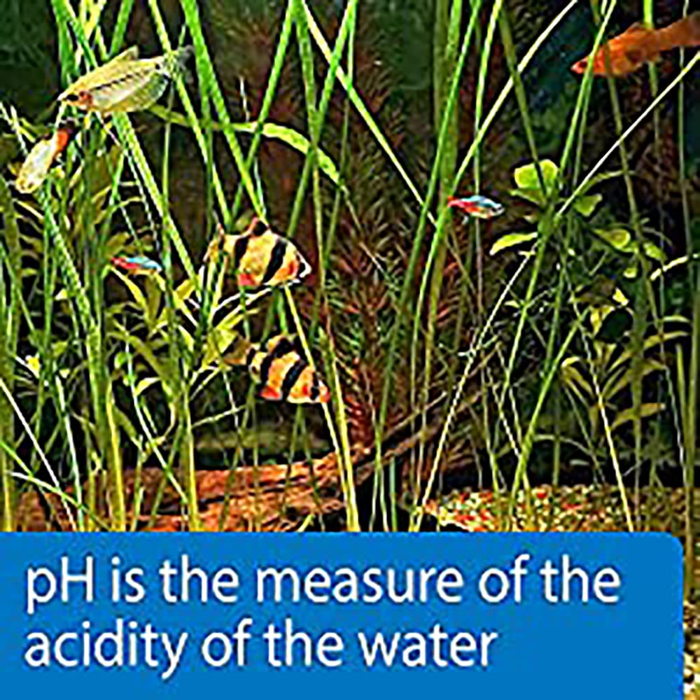 Api Test Strips,For Variety Of Water Parameters,Monitor Aquarium Water Quality And Help Prevent Invisible Water Problems That Can Be Harmful To Fish,Use Weekly And When Problems Appear,25-Count (33F)