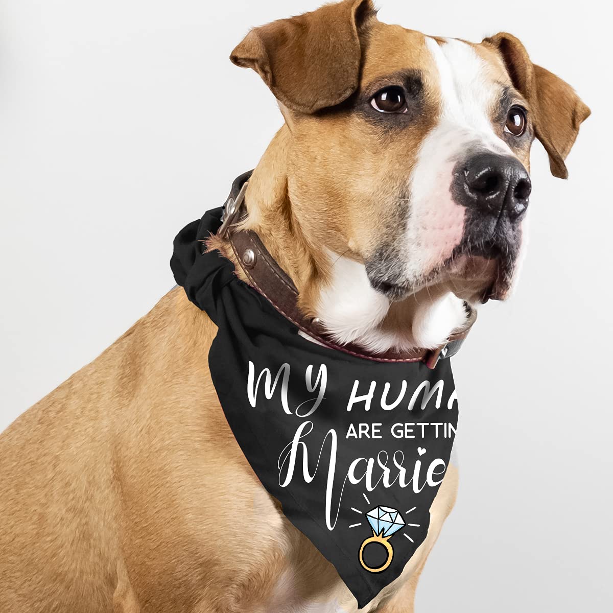 My Humans Are Getting Married She Said Yes Dog Bandana For Wedding Engagement Photos, Pet Scarf Accessories For Dog Lovers, Bridal Shower Gift, Pack Of 2