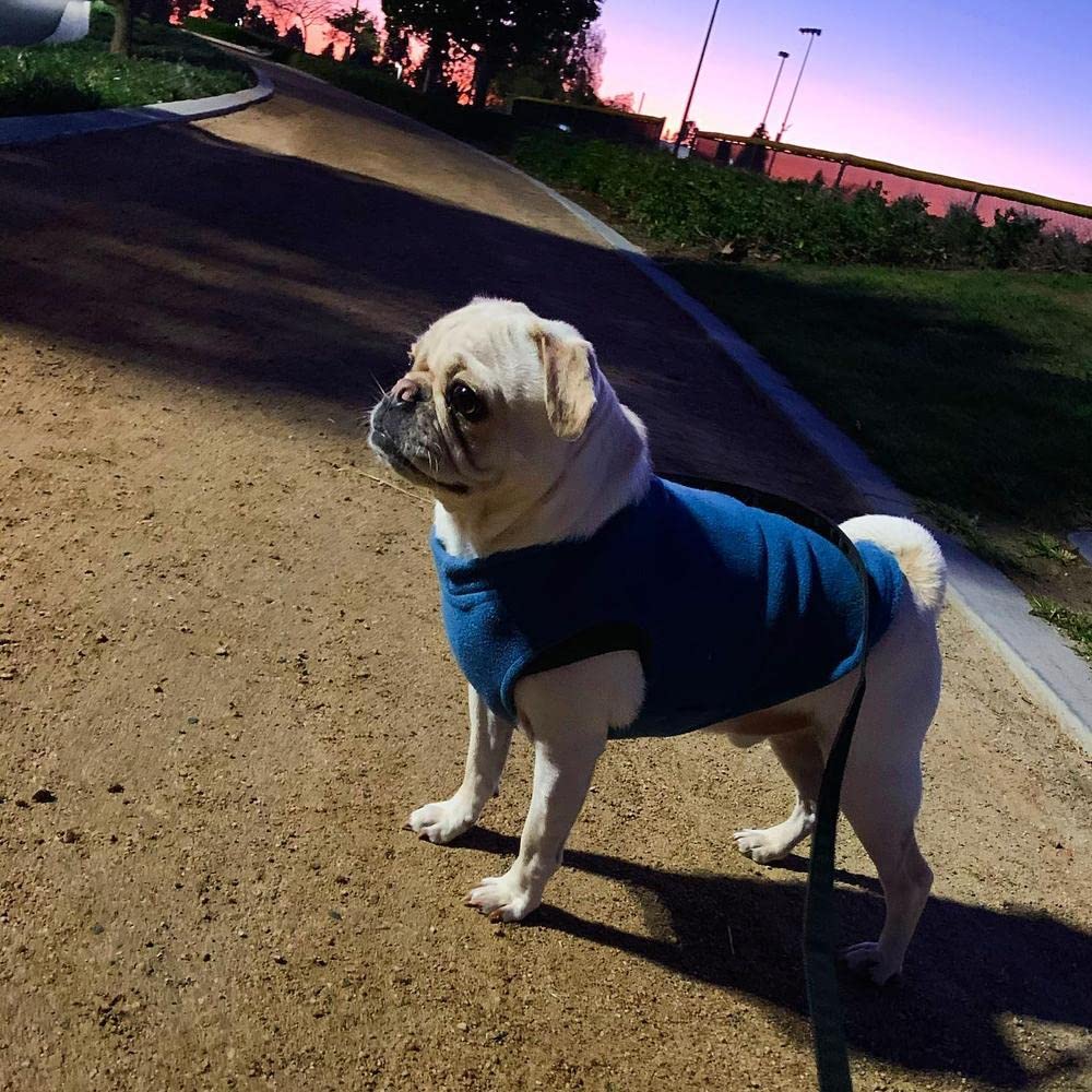 Gooby Stretch Fleece Vest Dog Sweater - Steel Blue, X-Small - Warm Pullover Fleece Dog Jacket - Winter Dog Clothes For Small Dogs Boy - Dog Sweaters For Small Dogs To Dog Sweaters For Large Dogs