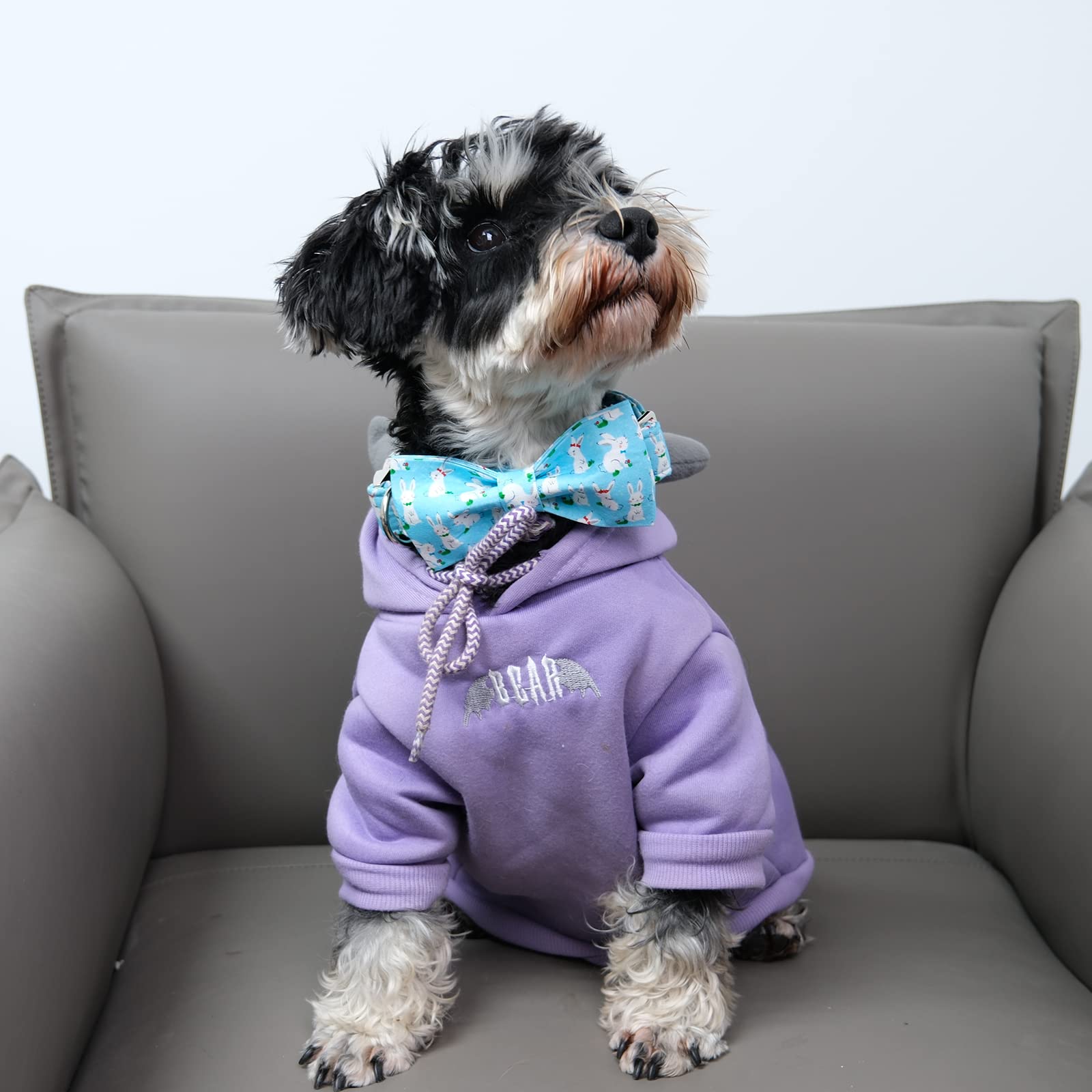 Lionet Paws Easter Dog Collar With Bowtie, Bunny Bowtie Collar With Metal Buckle For Dogs And Cats, Adjustable Comfortable Dog C