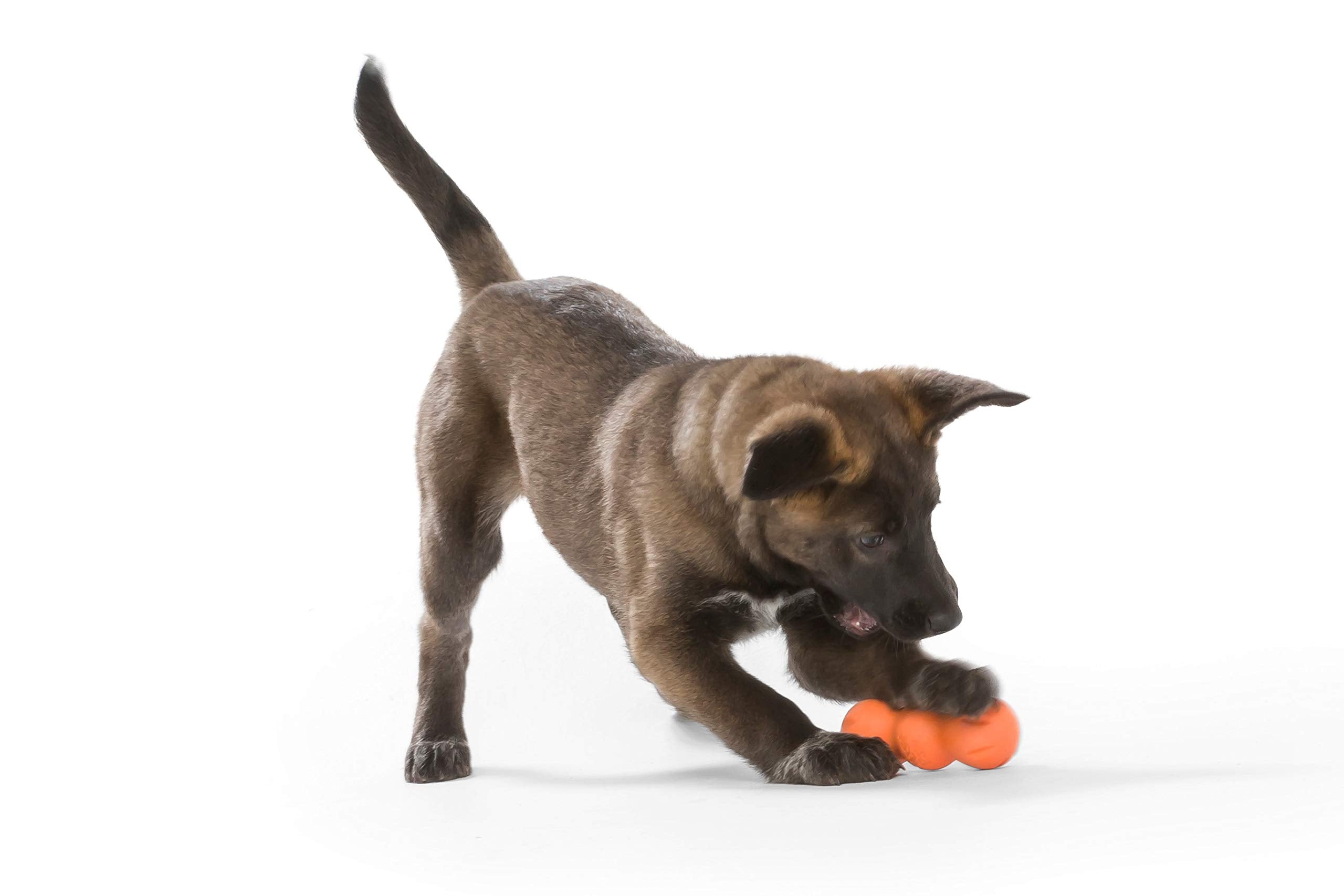 West Paw Zogoflex Rumpus Dog Chew Toy – Floatable Toy For Dogs, Aggressive Chewers – Puppy Chewing Toys For Catch, Fetch – Recyclable, Dishwasher-Safe, Small 5.25', Tangerine
