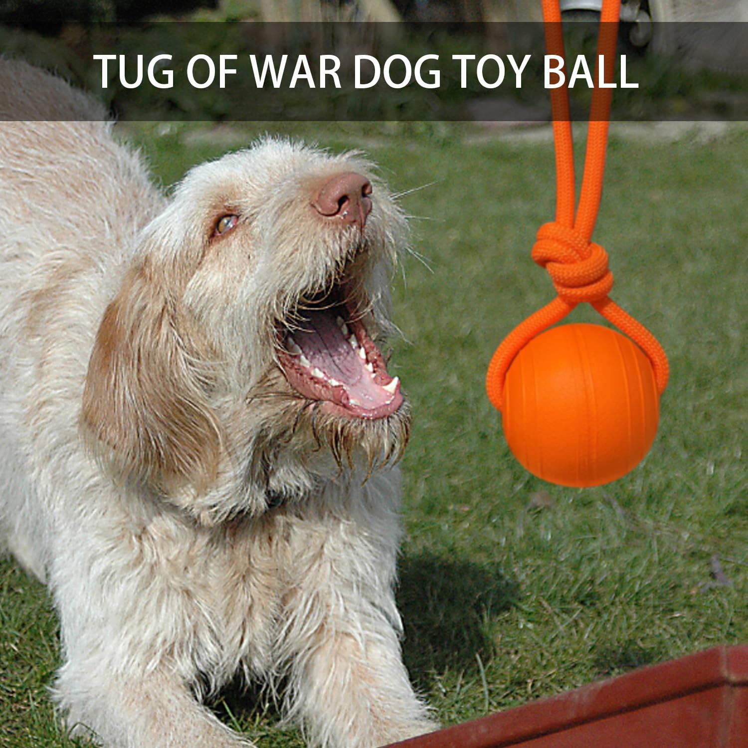 Dlder Dog Ball On A Rope Dog Toy,Floating Foam Dog Ball With Rope,Tug Ball Toy For Small Medium Large Dogs Aggressive Chewers.