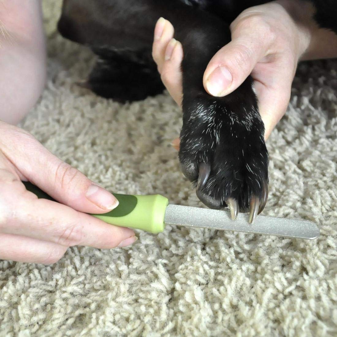 Coastal Pet Safari Dog Diamond Nail File - Diamond Finish For Smooth Nails - Removes Burs From Outdoor & Indoor Dogs - One Size