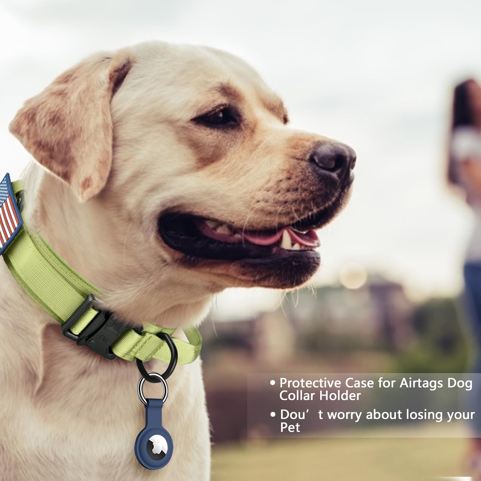 Daganxi Tactical Dog Collar, Adjustable Military Training Nylon Dog Collar With Control Handle And Heavy Metal Buckle For Medium And Large Dogs, With Patches And Airtags Case (Xl, Spring Grass)