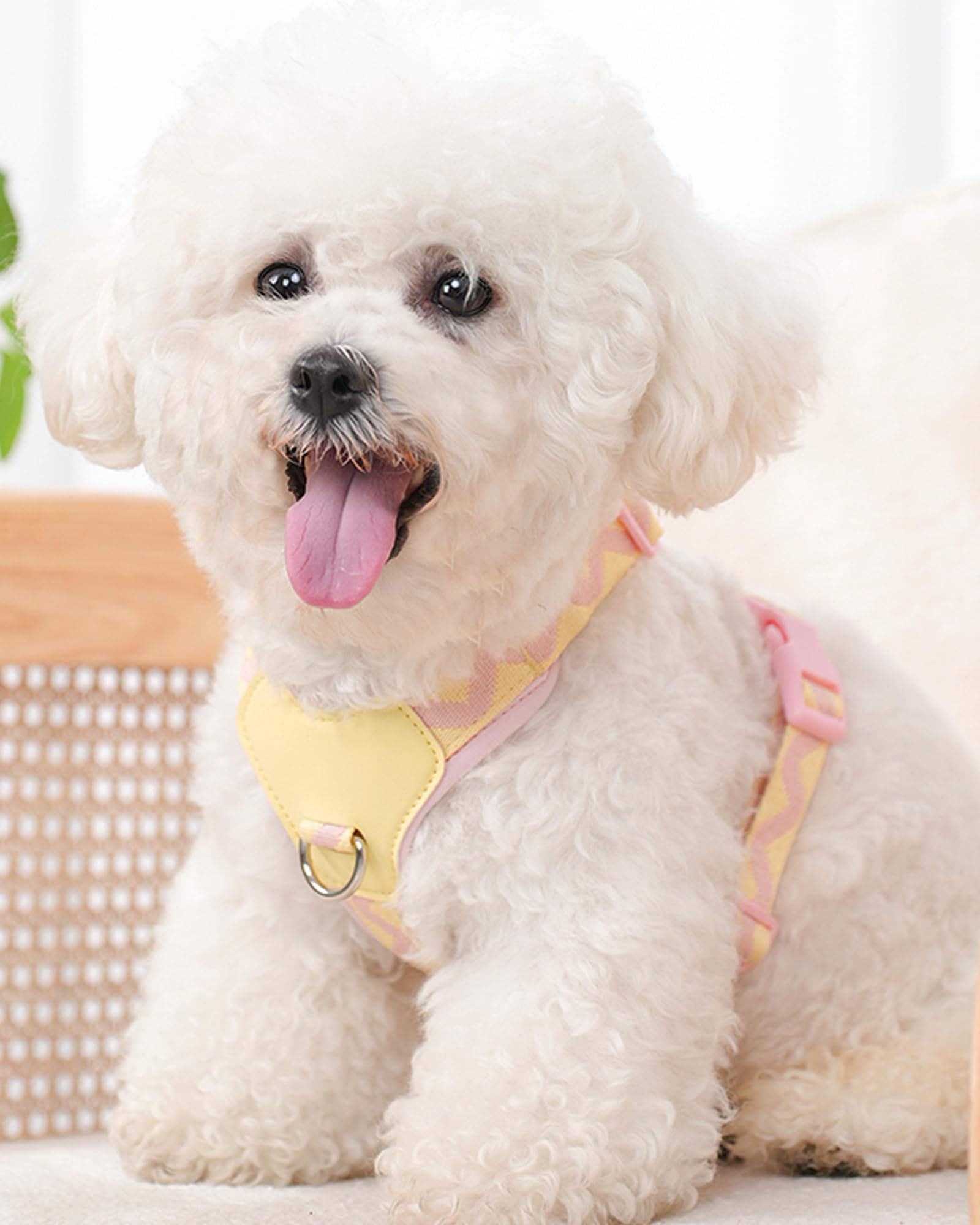 Pink Medium Dog Harness for Medium Dogs, No Pull Dog Harness with 2 Leash Clips, Puppy Harness, Dog Vest Harness (Pink, M)