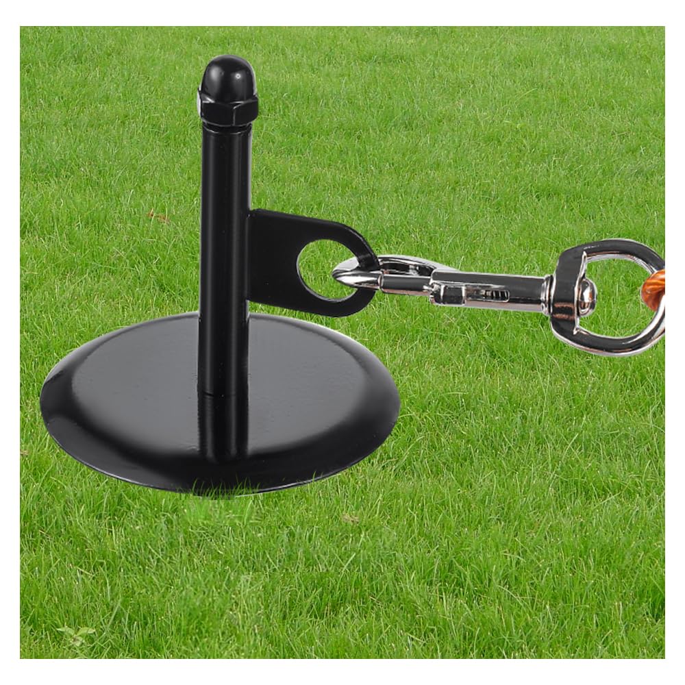 16Dog Tie-Out Stake, Durable Silver Spiral Anchorstake, Secure Outdoor Tethering for All Cable Leash Chain, Camping Yard, Rust