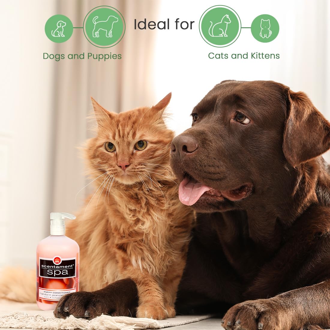 Best Shot Scentament Spa Puppy Conditioner, Ph Balanced And Hypoallergenic Skin Care Product For Any Dog, Cat, Puppy, Or Kitten, Mandarin Jasmine Honey, 16 Oz