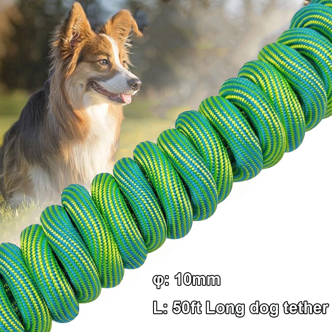 Btinesful 8Ft 12Ft 20Ft 30Ft 50Ft 75Ft Dog Tie Out Long Tether Rope Leash, Outdoor Yard Leash, Large Medium Small Dogs Training,