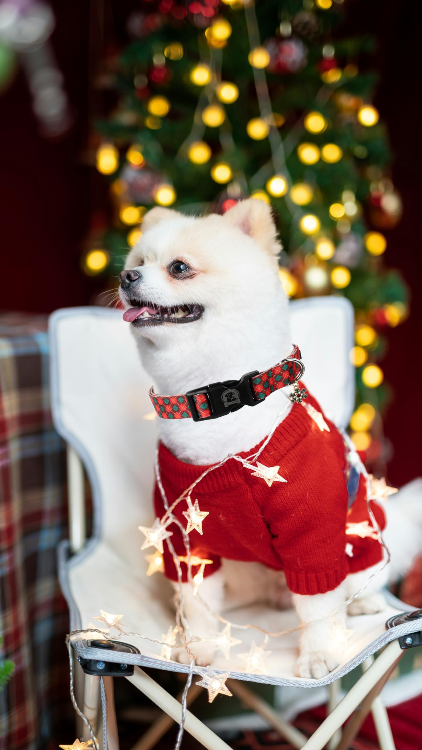 Mr. Chubbyface Christmas Red Plaid Dog Collar, Adjustable Winter Festival Collar, Durable For Small, Medium, Large Dogs