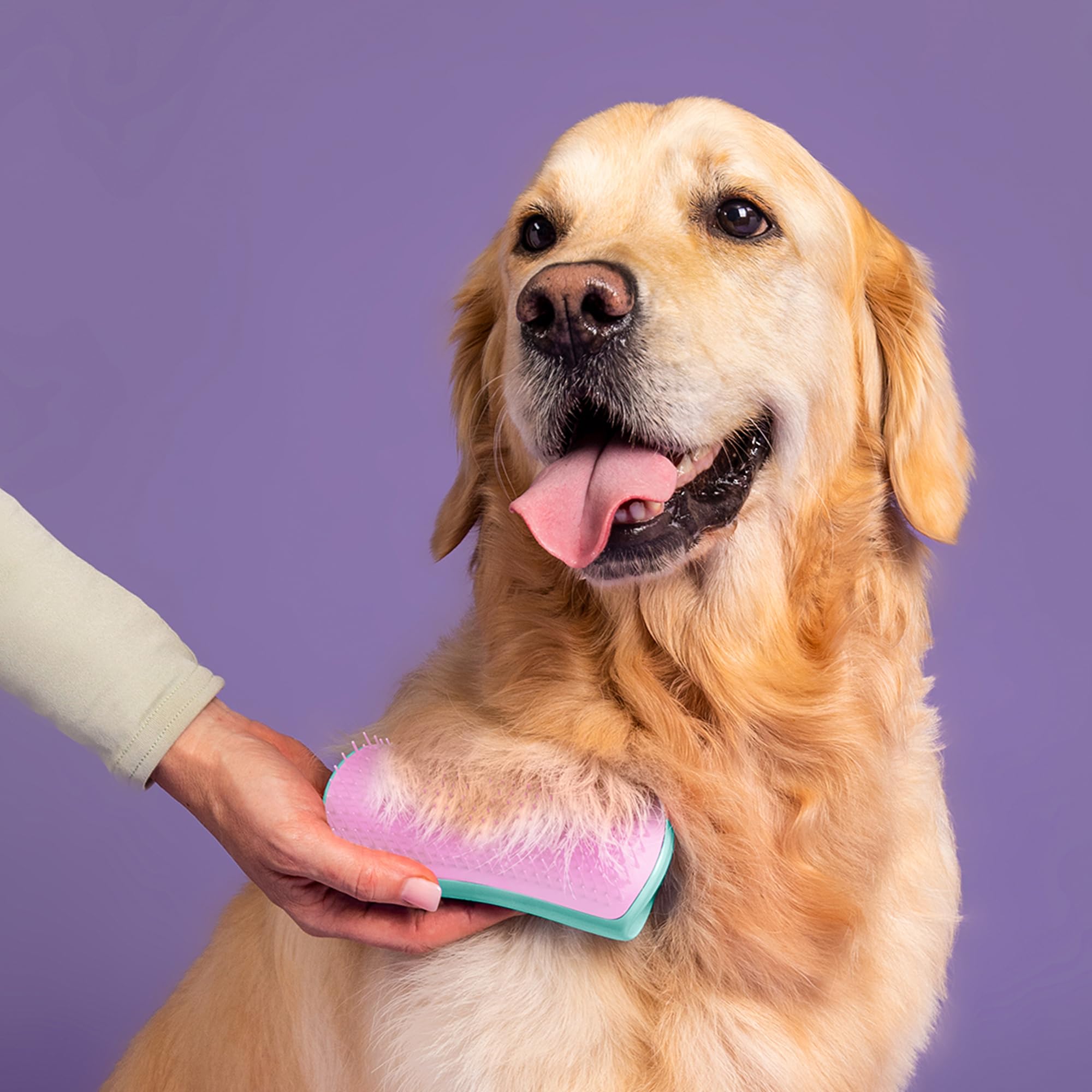 Pet Teezer De-Shedding Dog Brush By Tangle Teezer, Dog Grooming Tool For Long Haired Breeds And Wet Or Dry Fur, Large, Blue & Pi