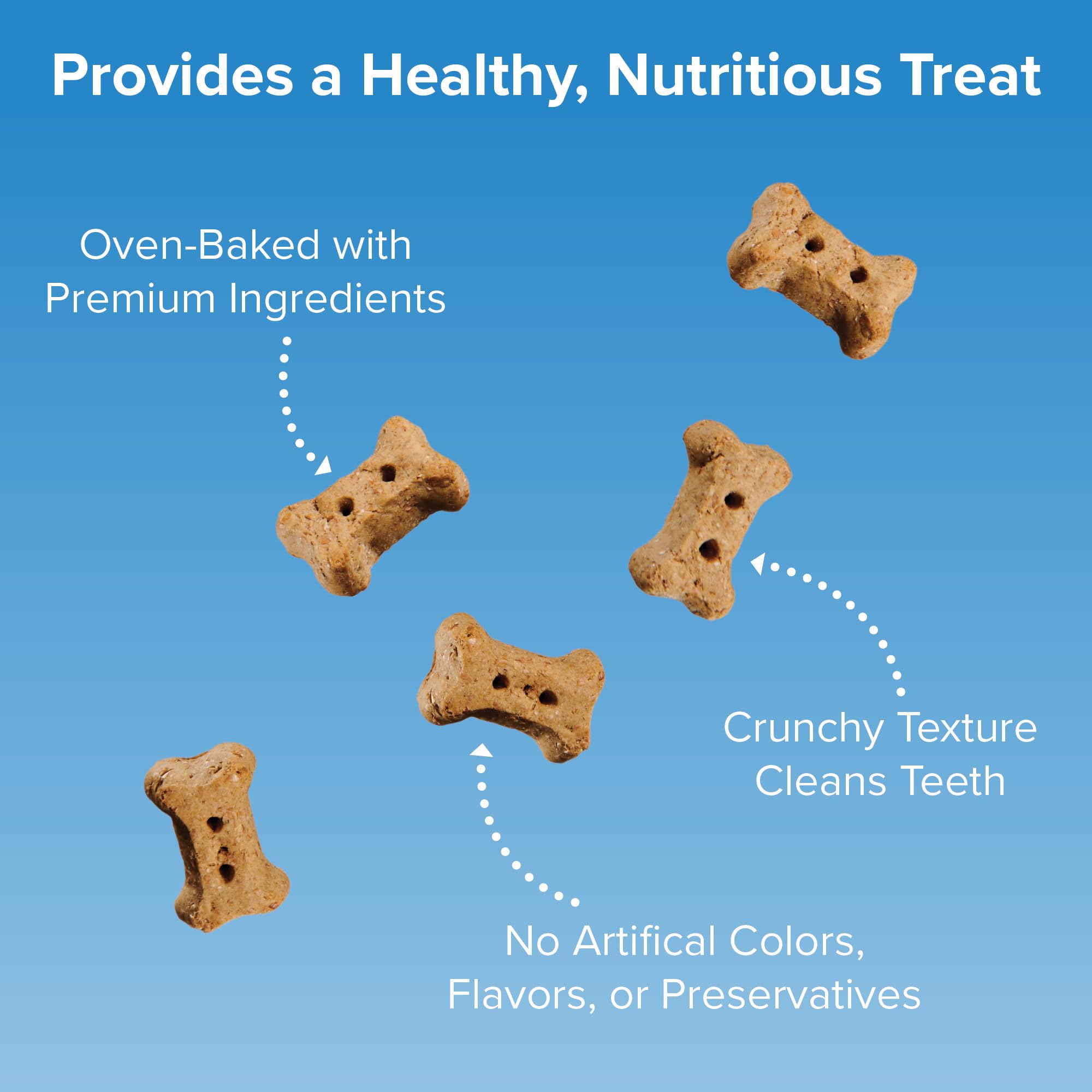 Blue Seal Kent Entrust Crunchers - Mini Dog Treats, Original Recipe - Crunchy Oven Baked Biscuits with Premium Ingredients, Heal