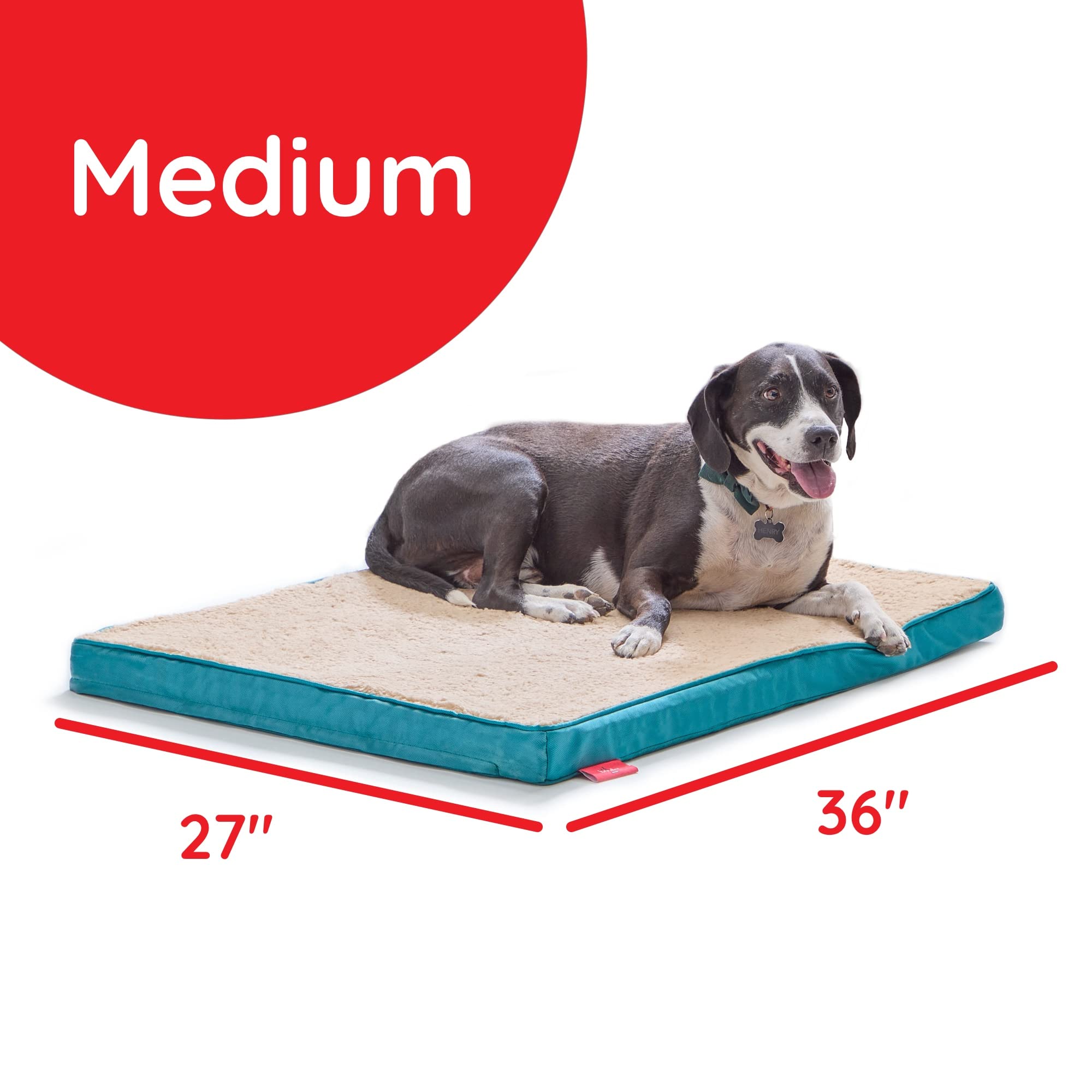 Brindle Dog Bed - Orthopedic Pet Bed - Dog Crate Bed With Machine Washable Cover - 2' Medium Dog Bed - Teal