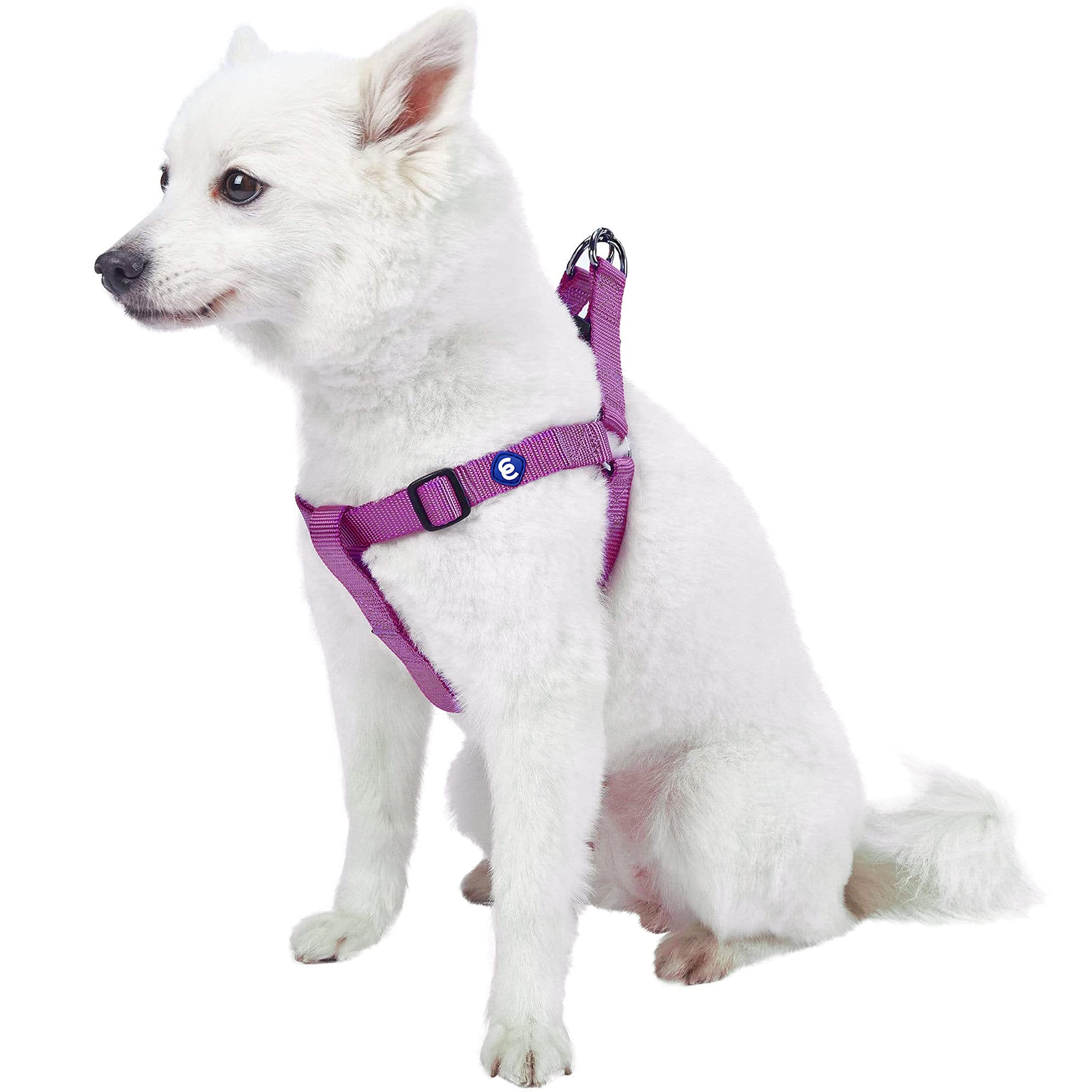 Blueberry Pet Essentials Classic Durable Solid Nylon Step-In Dog Harness, Chest Girth 20' - 26', Violet, Medium, Adjustable Harnesses For Puppy Boy Girl Dogs
