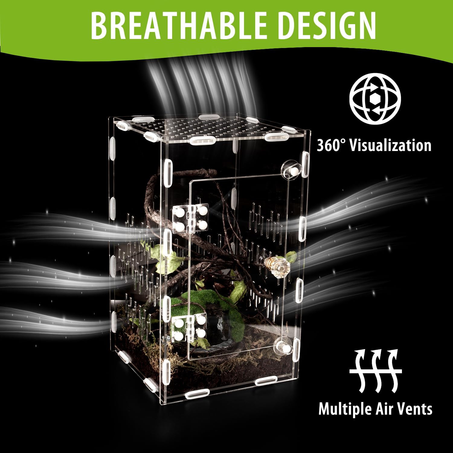 TCooSo Large Acrylic Jumping Spider Enclosure 10x6x6 Ventilated Insect Terrarium for Tarantulas, Snails, Lizards, Clear