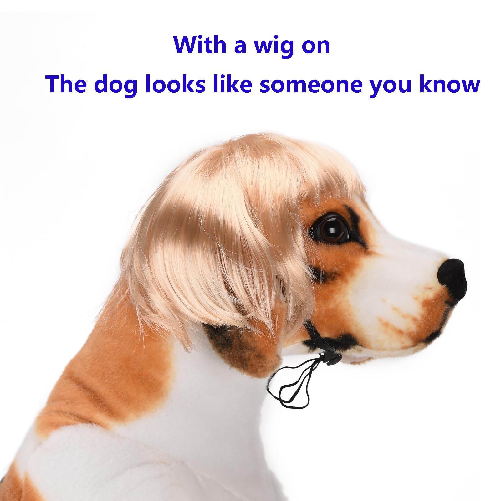 Funny Cosplay Wig For Dog, Headwear Apparel, Pet Costumes, Cat Dress Up For Halloween, Christmas, Parties, Festivals (Golden Str