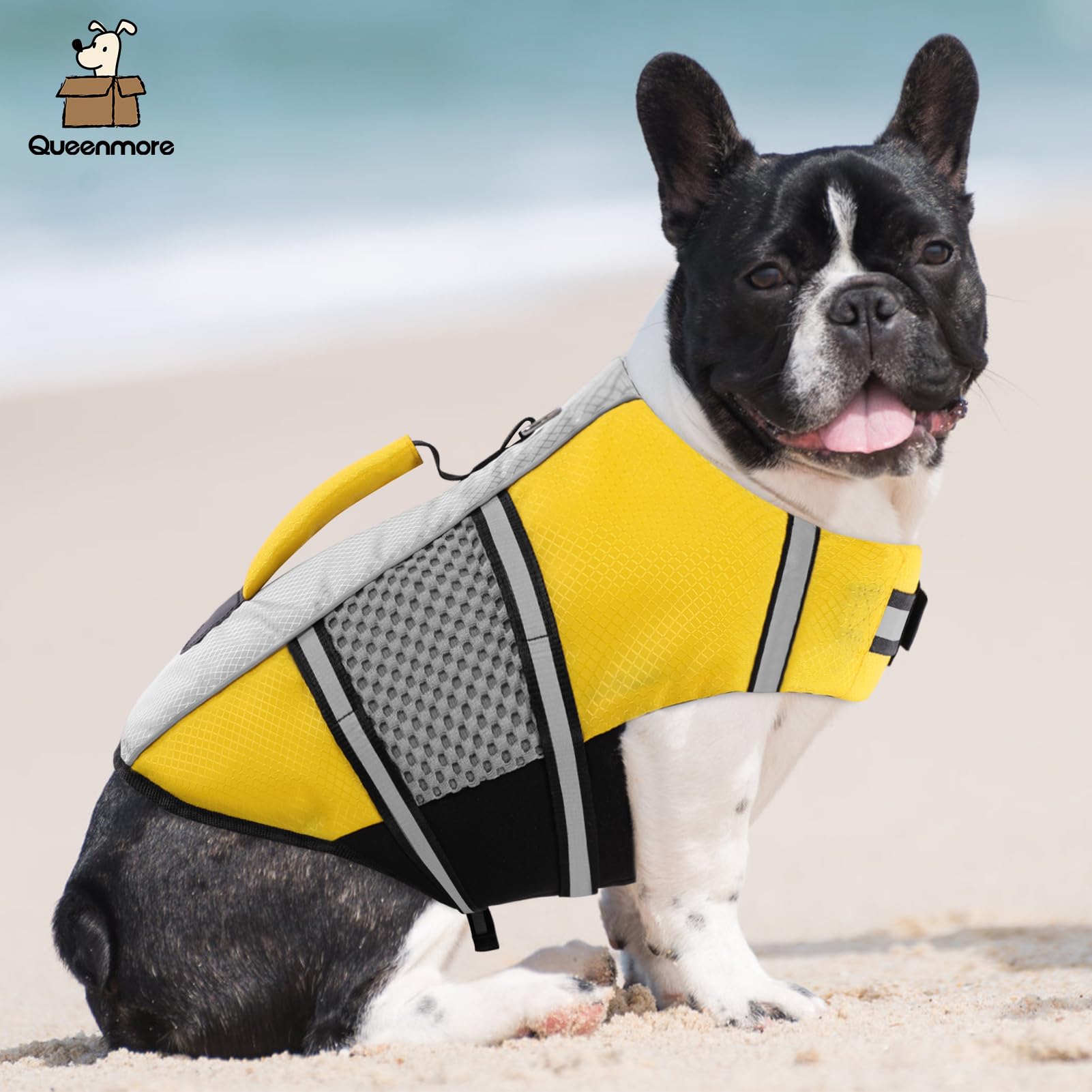 Queenmore Dog Life Jacket Swimming Vest Small Medium Dogs Neoprene Life Vest Lightweight Reflective Dog Lifesaver For Boating Ka