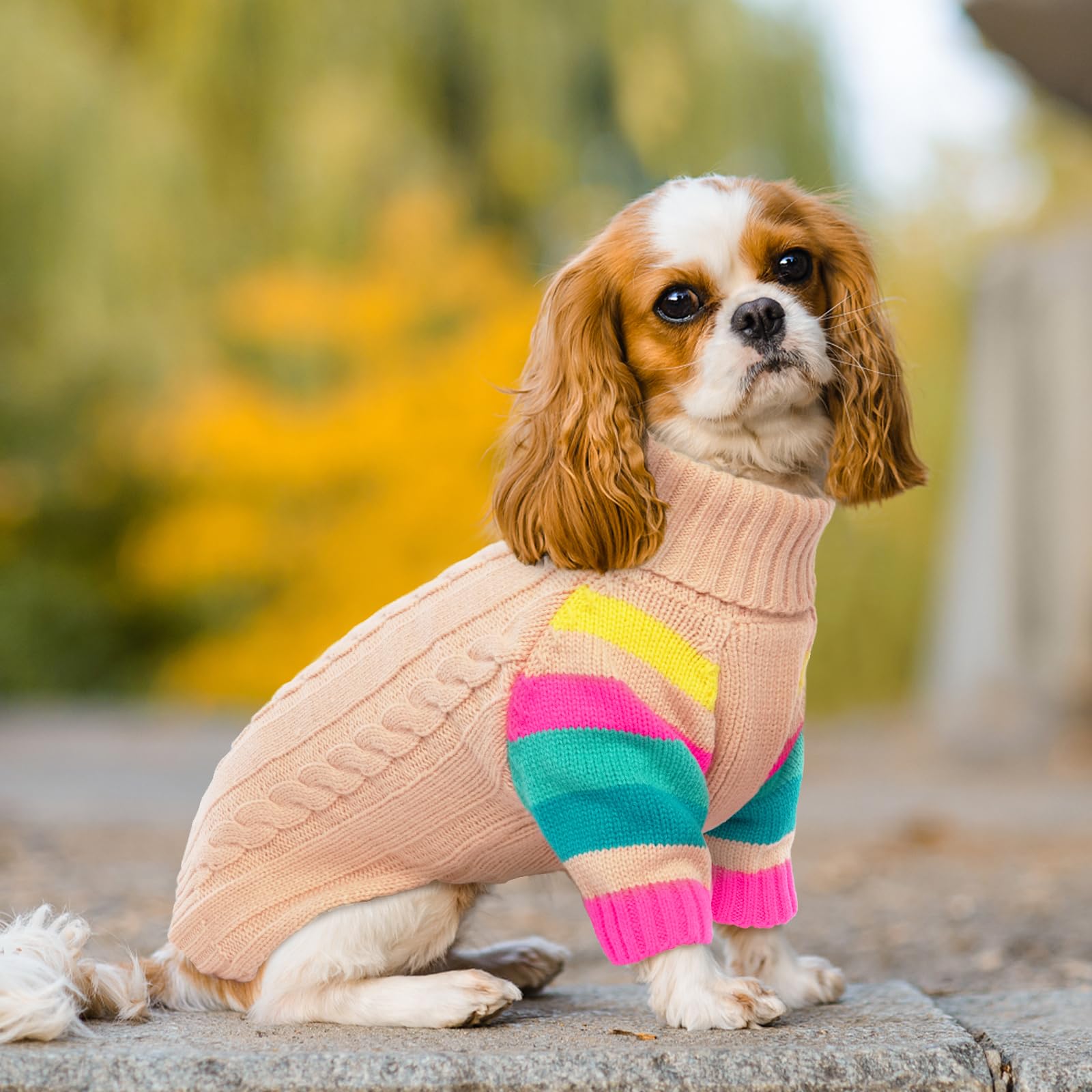 Ouobob Xs Dog Sweater Warm, Dog Sweaters For Small Dogs Girls Boys, Stretchy Puppy Sweater,Turtleneck Extra Small Doggie Sweater