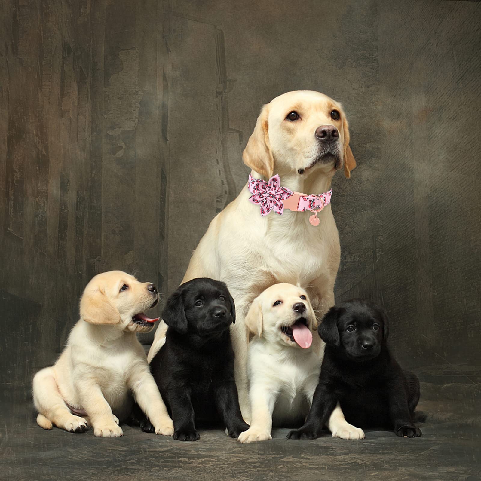 Up Urara Pup Mothers Dog Collar With Flower, Cute Cotton Girl Dog Collar, Adorable Pink Flower Collar For Large Girl Dog, Comfor