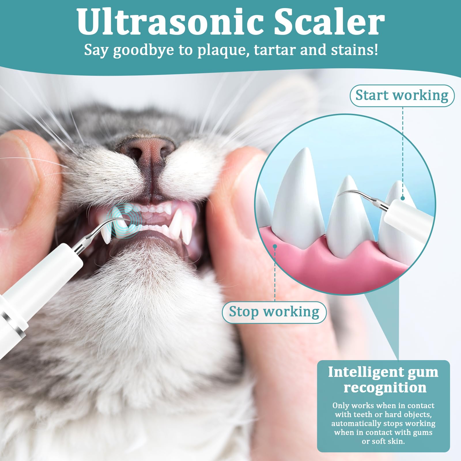 YINDUZ Plaque Remover for Teeth - Electric Toothbrush for Dogs Pet Brush Set, Dog Teeth Cleaning, Electric 6 Modes + 4 Cleaning