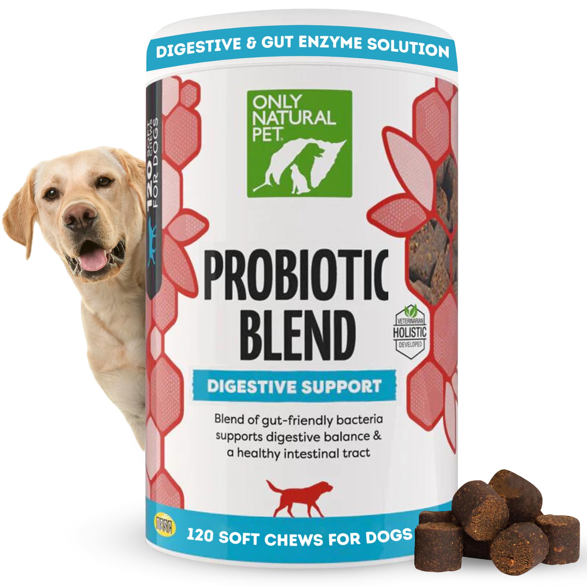 Only Natural Pet Probiotic Dog and Cat Supplement - Digestive & Gut Health Enzyme Formula, Puppy & Canine Digestive Chews, Best 