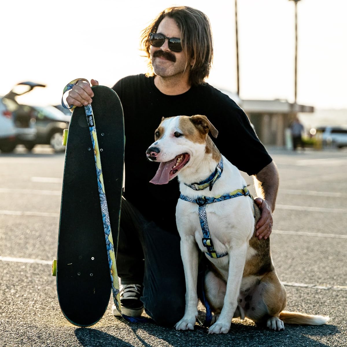 Wolfgang Heavy Duty, Adjustable Dog Collar With Quick Release Nylon Buckle For Walking & Training, Dawnpatrol Print, Large