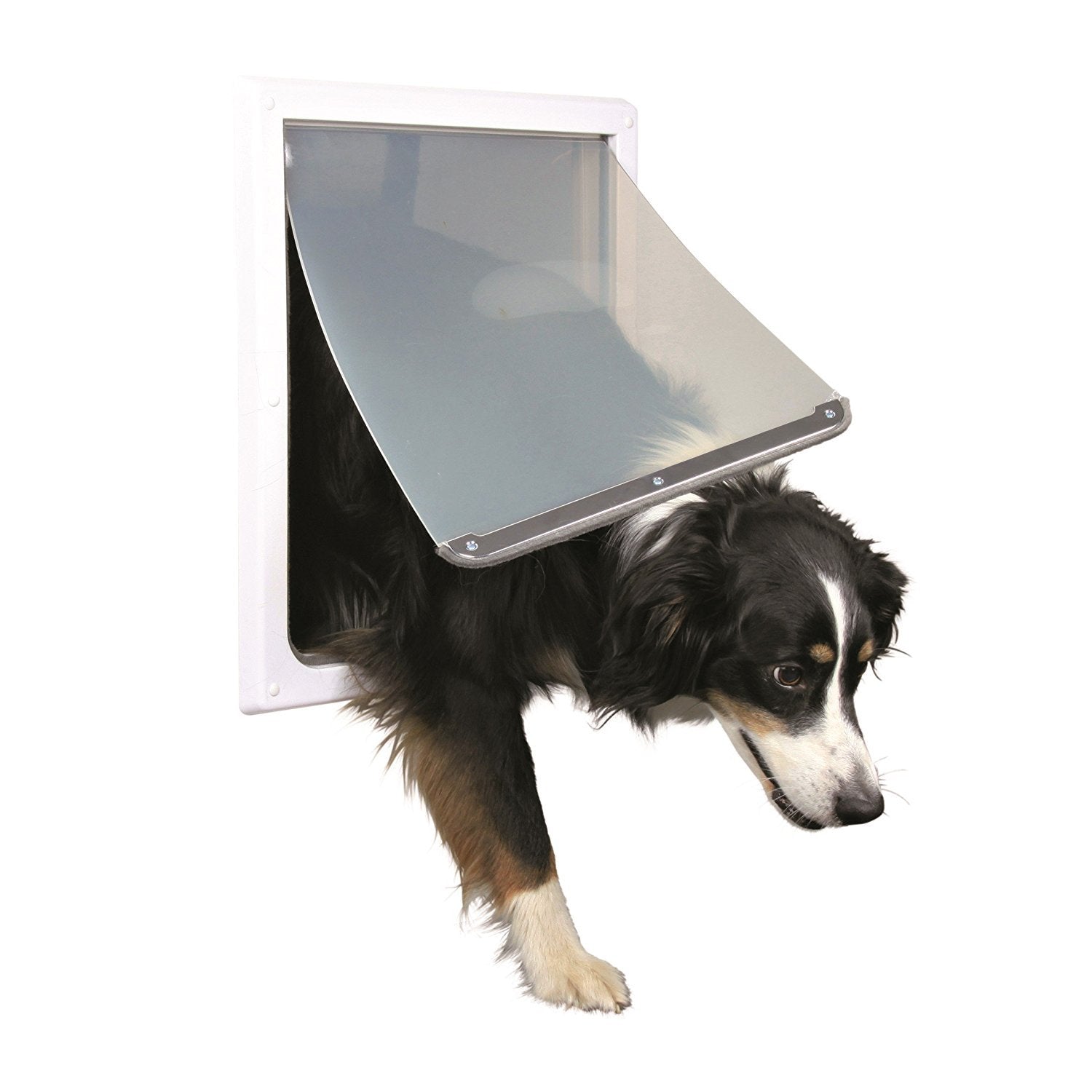Trixie Pet Products 2-Way Locking Dog Door, Medium To X-Large Dogs, White