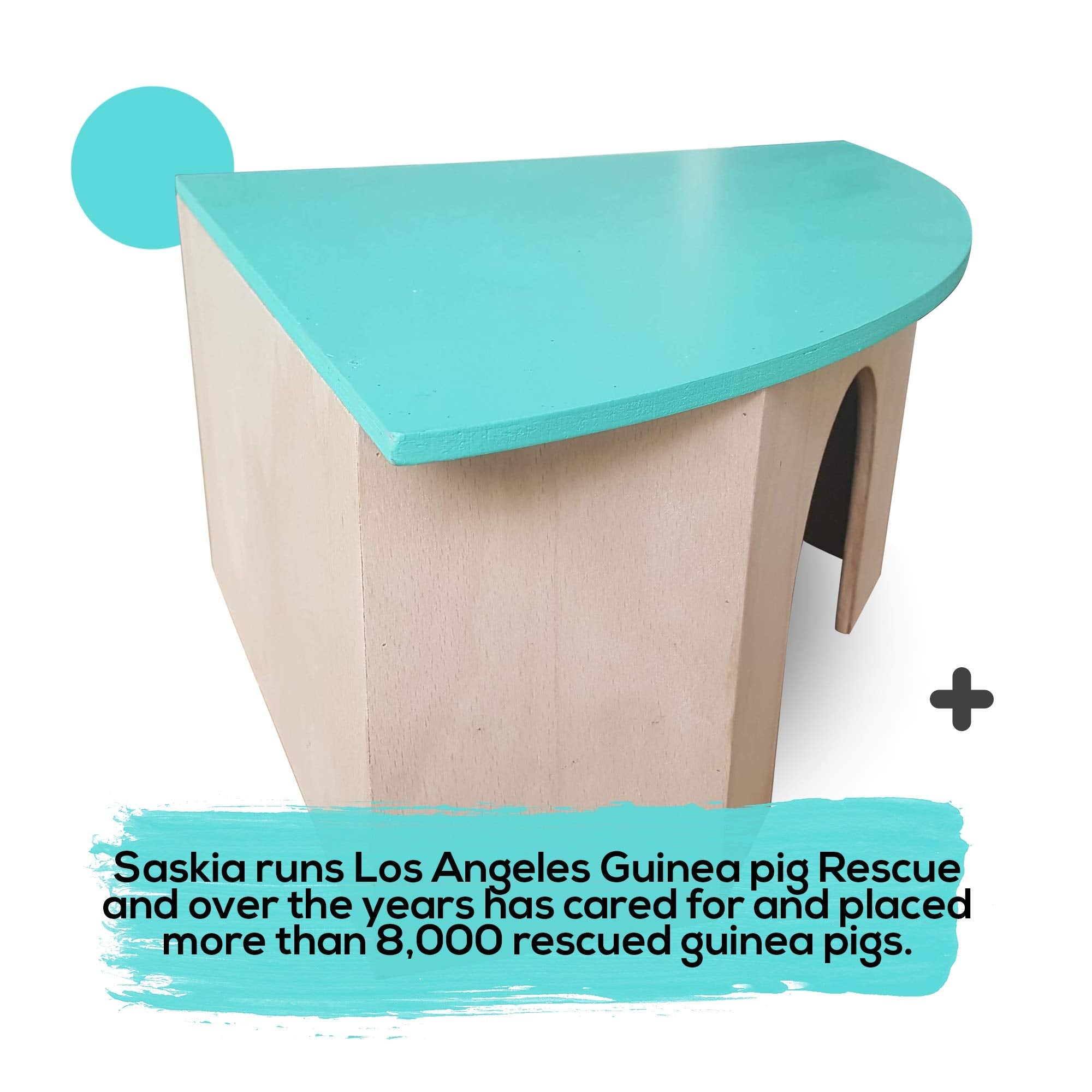 Piggies Choice The Space House All Natural Sturdy Pine Wood Corner Hideout Hidey Guinea Pig Hut (Teal)