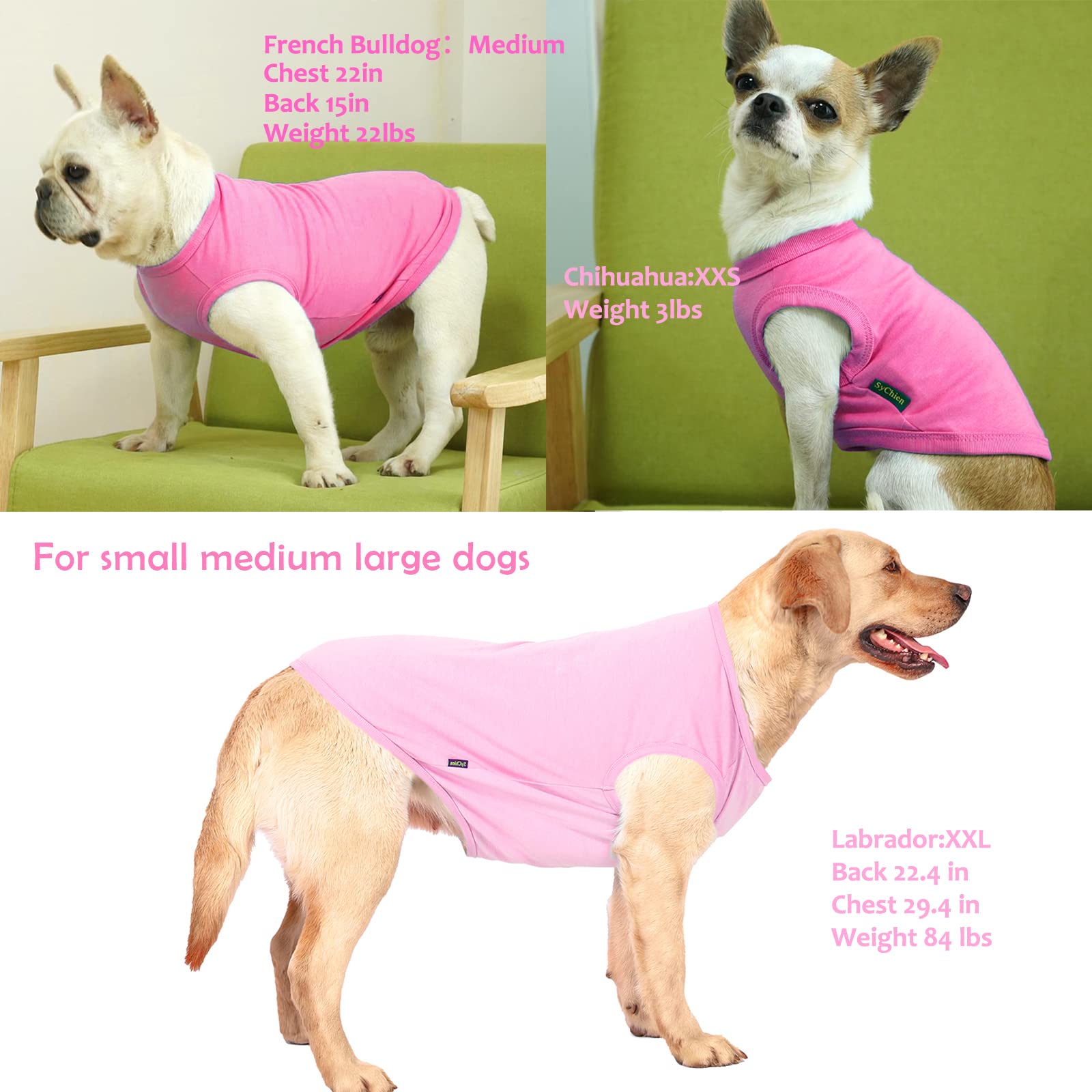 Sychien Dog Pink Shirts for Small Dogs,Blank Plain Pink Cotton Shirt,S Pink Rose