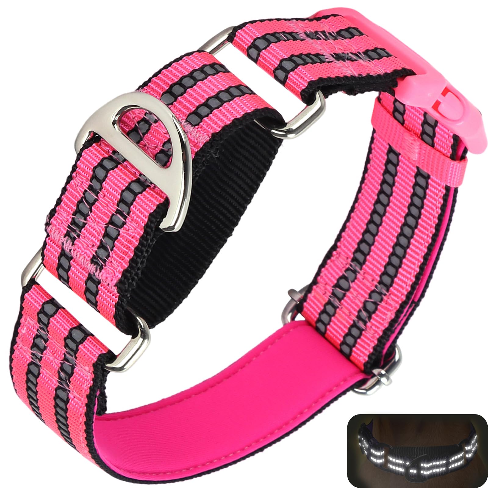 Onefojojo Martingale Dog Collars Reflective Nylon Dog Collar With Quick Release Buckle Adjustable Training No Slip Dog Collar (M