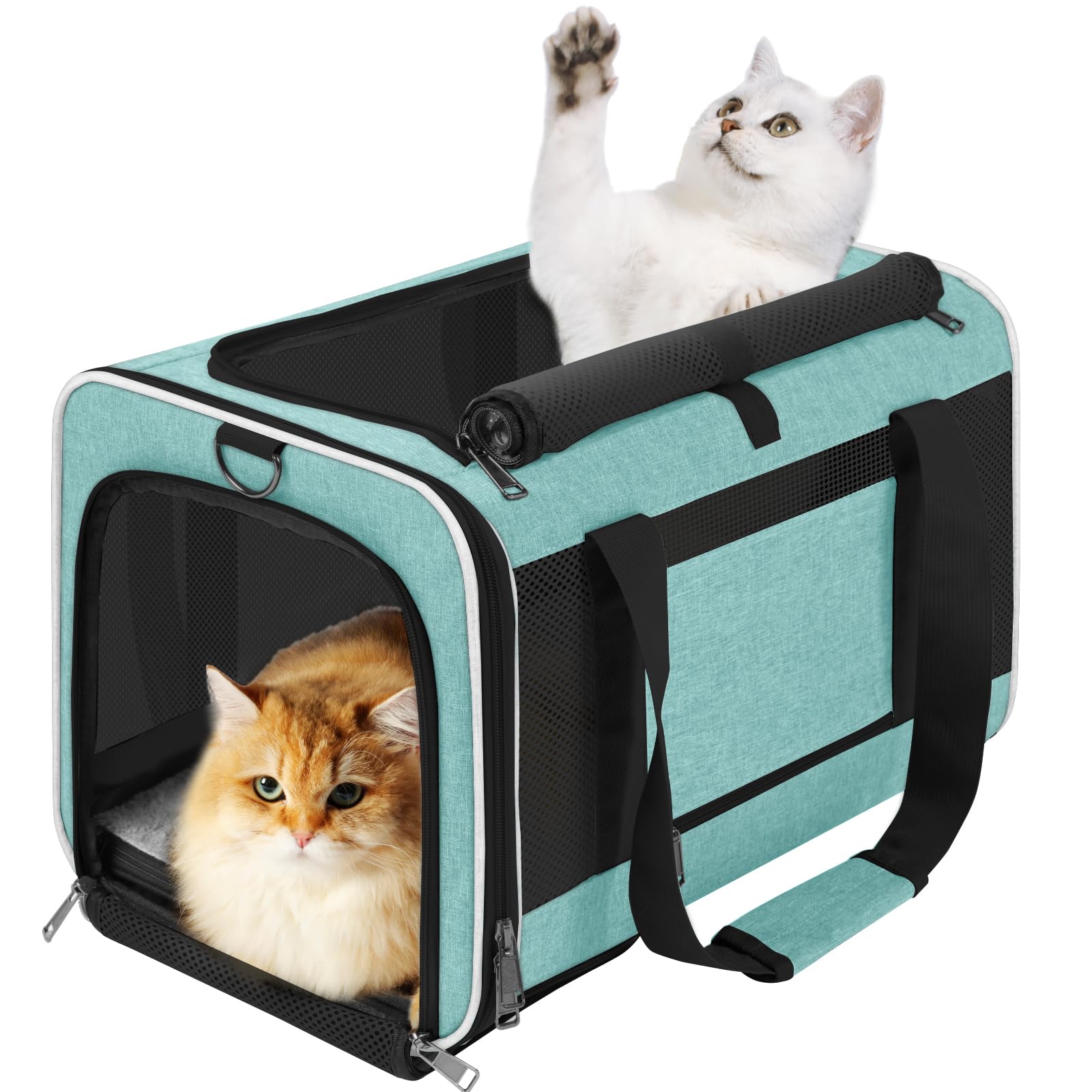 Gapzer Soft Cat Carrier Large Cat 20 Lbs/Kitty Cat Travel Crate For Pet Top Load/Small Dog Sturdy Transport Fabric Carry Bag 10 