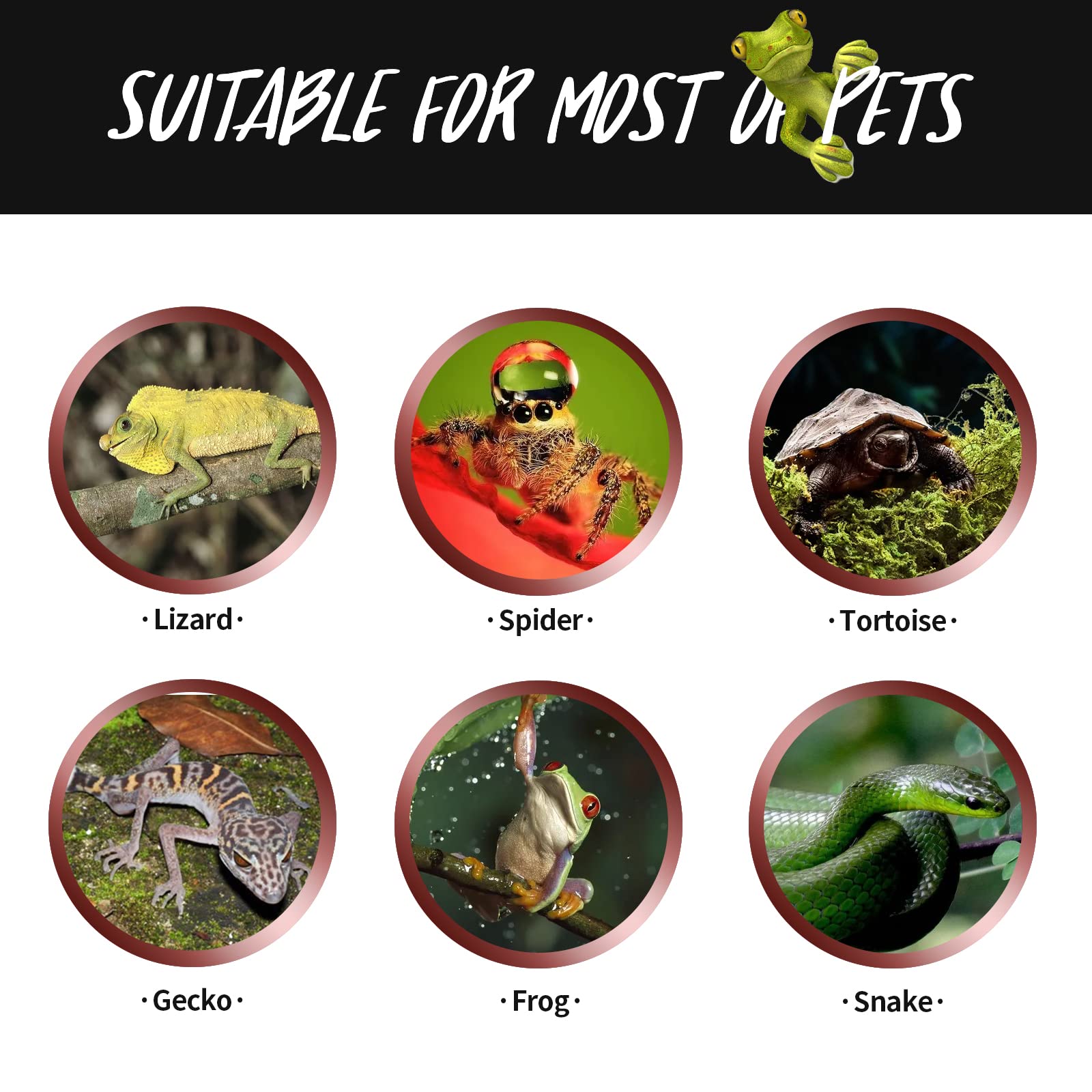 Fiveage Night Heat Lamp 100W Reptile Heating Bulb, Infrared Moonlight Uva Basking Spot Lamp For Reptile And Amphibian Bearded Dragon Lizard Tortoise Snake - 2 Pack