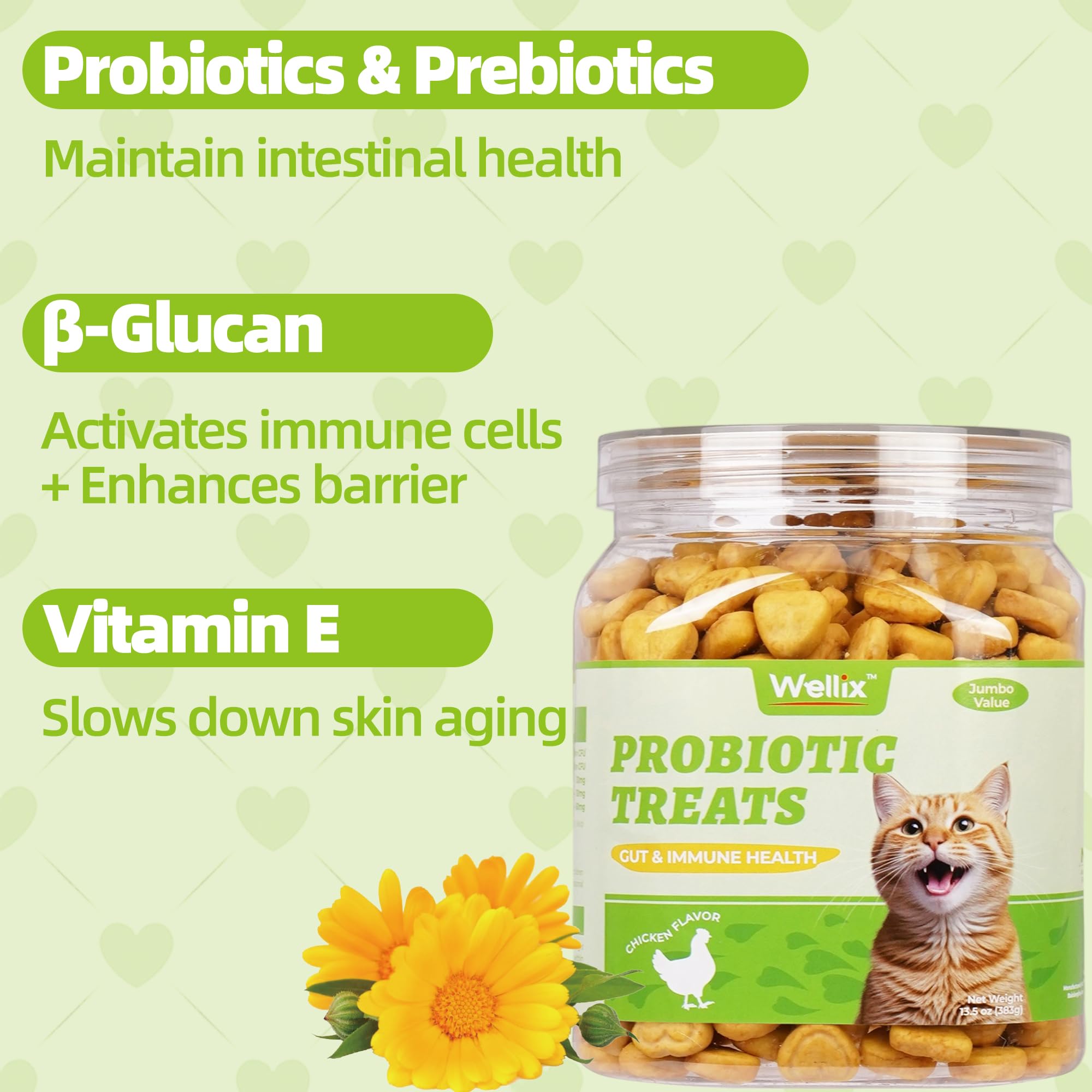 Wellix 13.5oz Probiotic Health Supplement Cat Treats for Indoor Cats - Chicken Flavor Kitten Snacks for Gut+Immune Health - Add