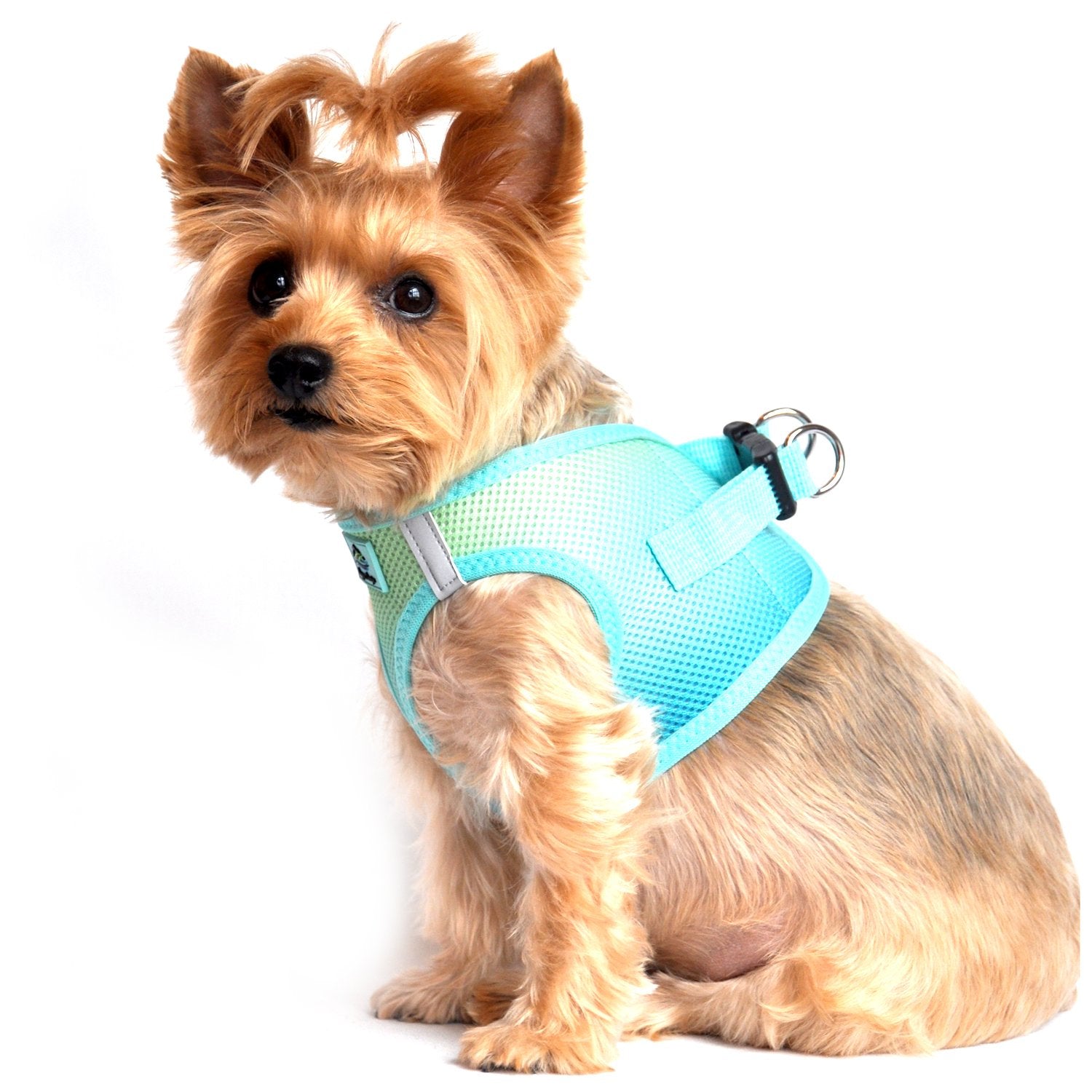 Doggie Design No Choke Dog Harness - Simple Step-in and Go Dog Vest for Small, Medium, and Large Breeds - Breathable Mesh Polyester Pet Harness - Aruba Blue - 2XL