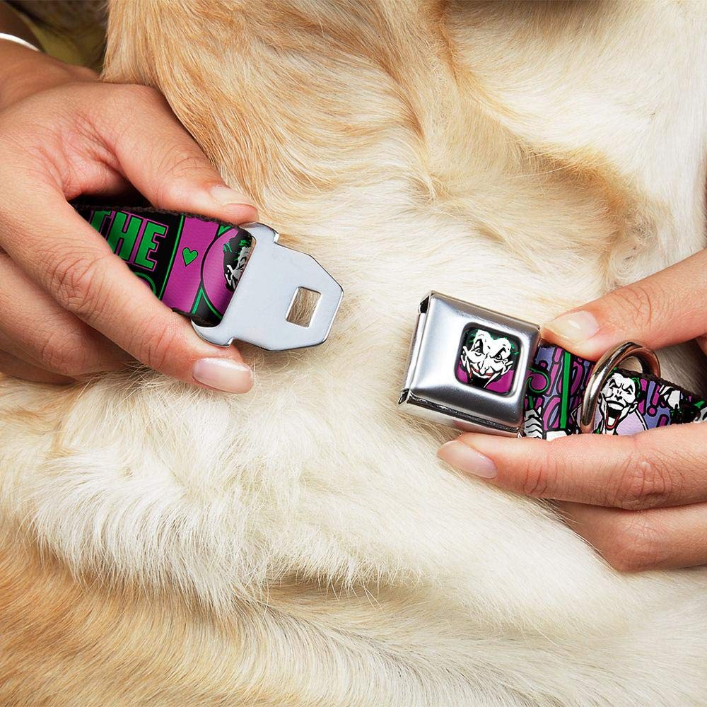 Buckle-Down Seatbelt Buckle Dog Collar - Joker Face/Logo/Spades Black/Green/Purple - 1' Wide - Fits 9-15' Neck - Small